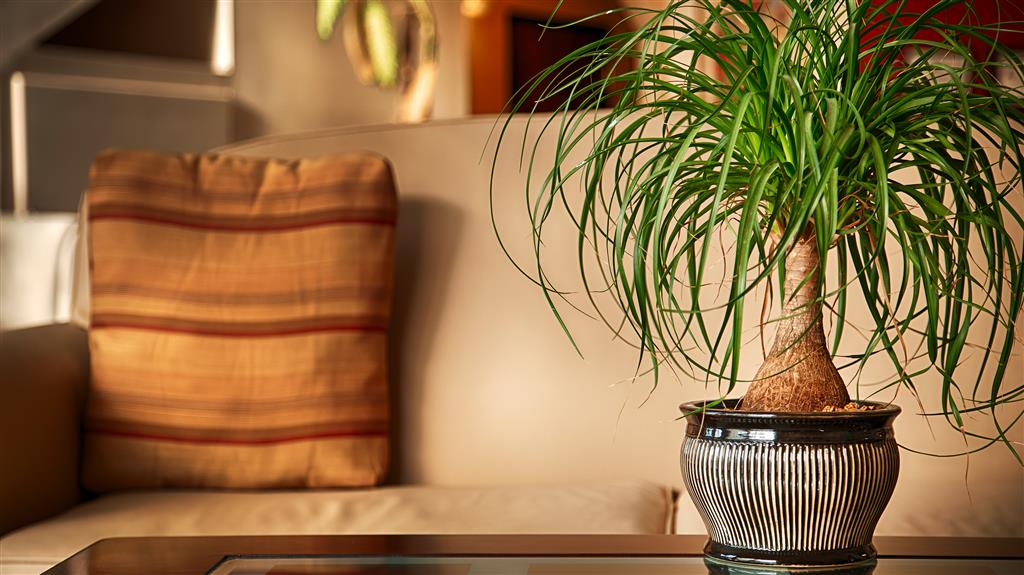 Best Western Butner Creedmoor Inn