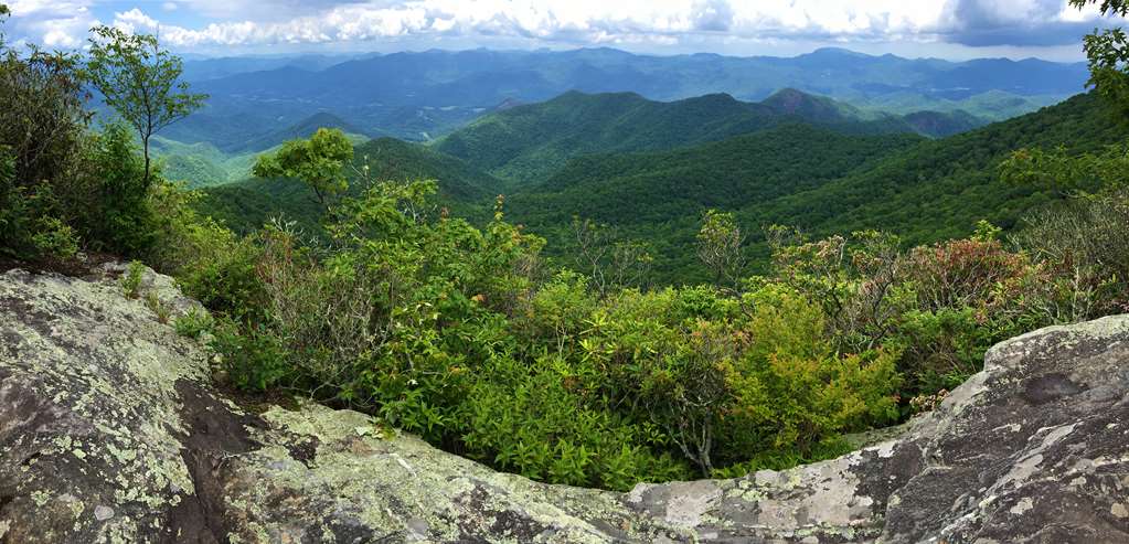 Best Western Plus River Escape Inn & Suites