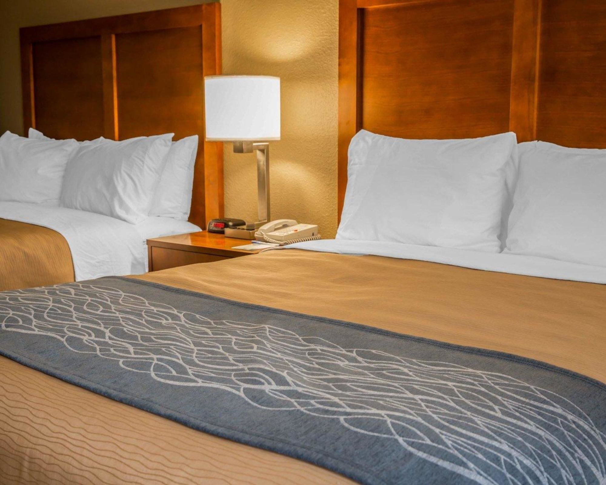 Comfort Inn Elizabeth City Near University