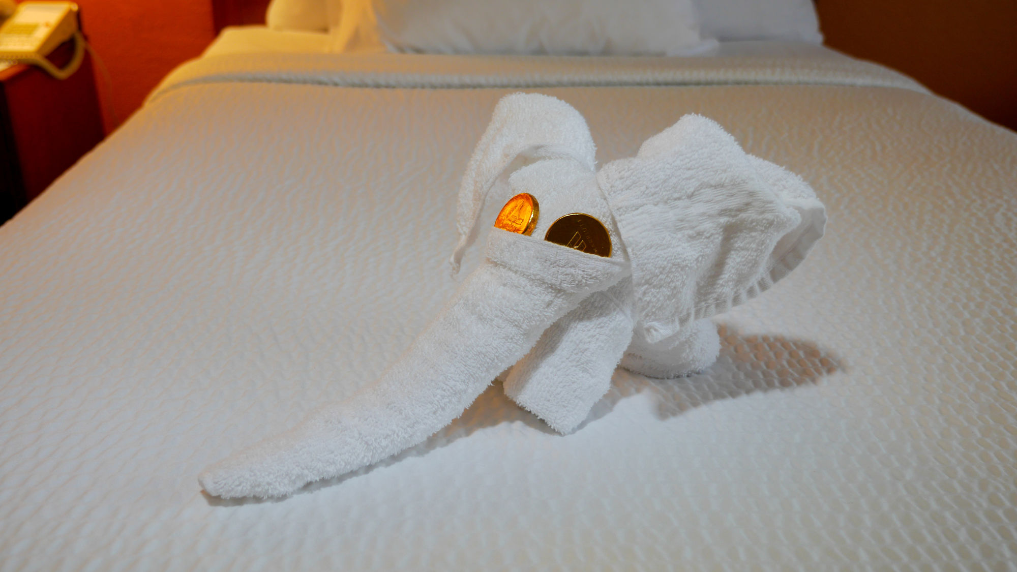 Quality Inn Near Fort Liberty Formerly Ft Bragg