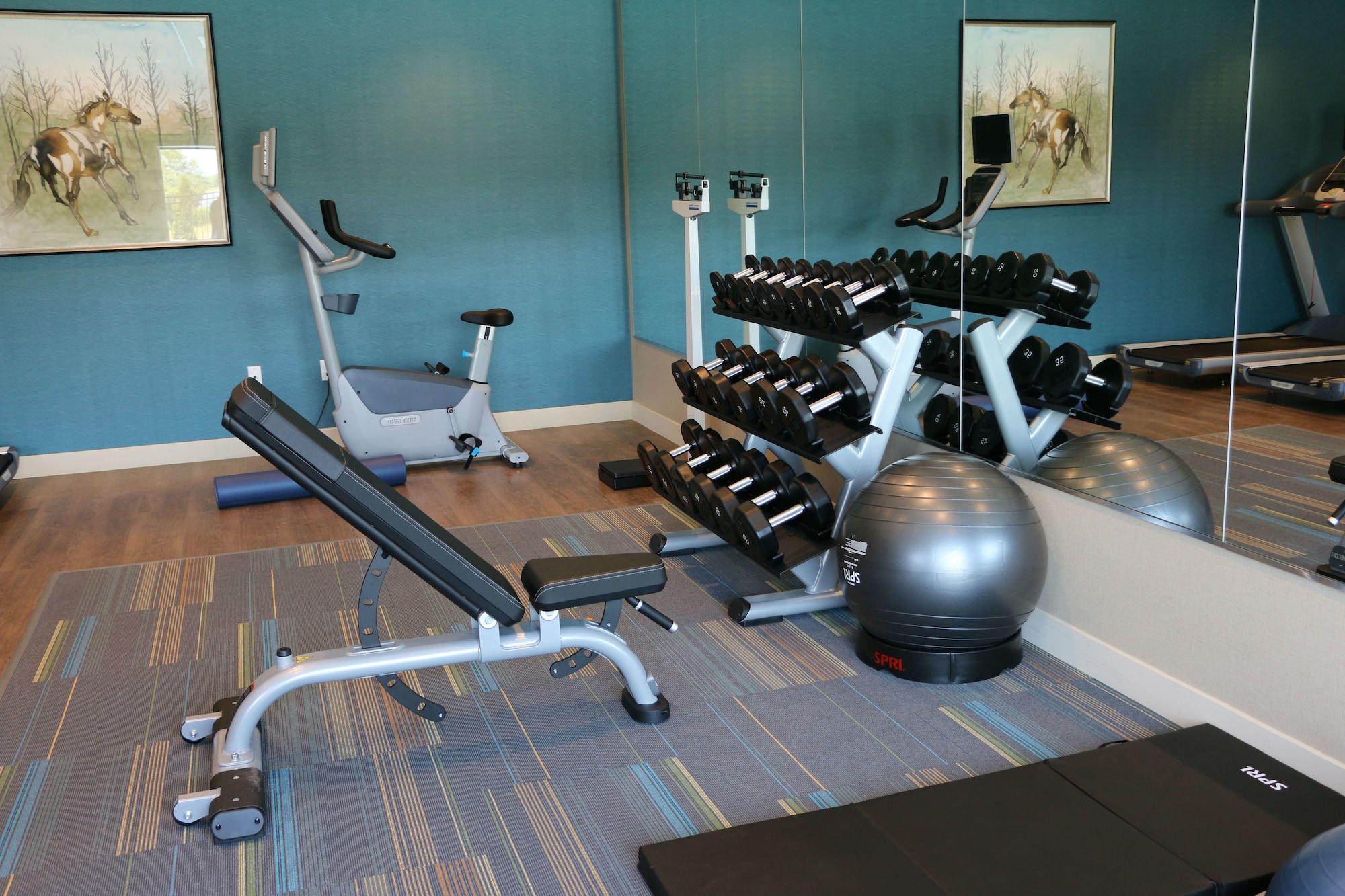 Holiday Inn Express & Suites Hendersonville SE - Flat Rock