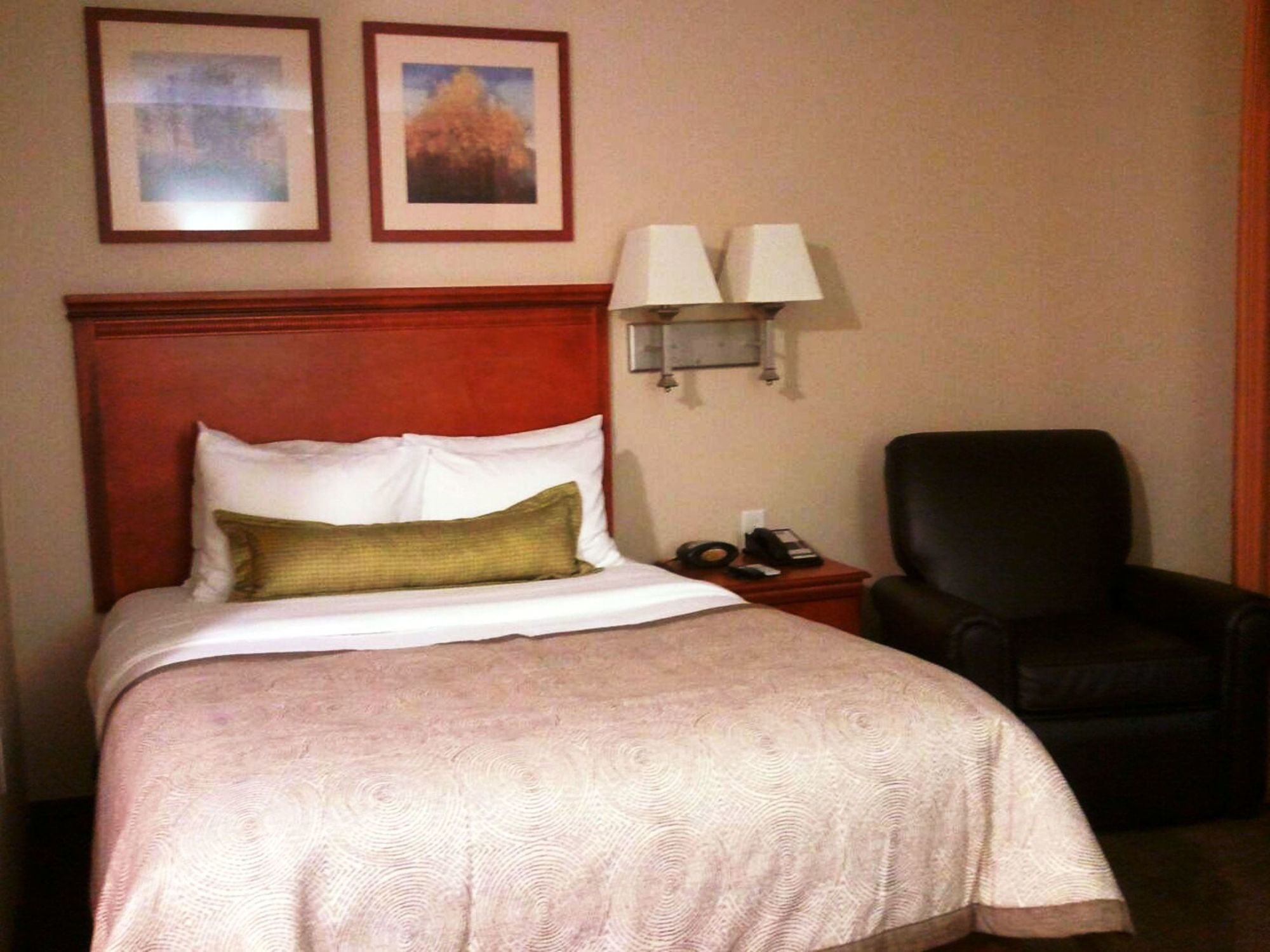 Candlewood Suites Greenville NC