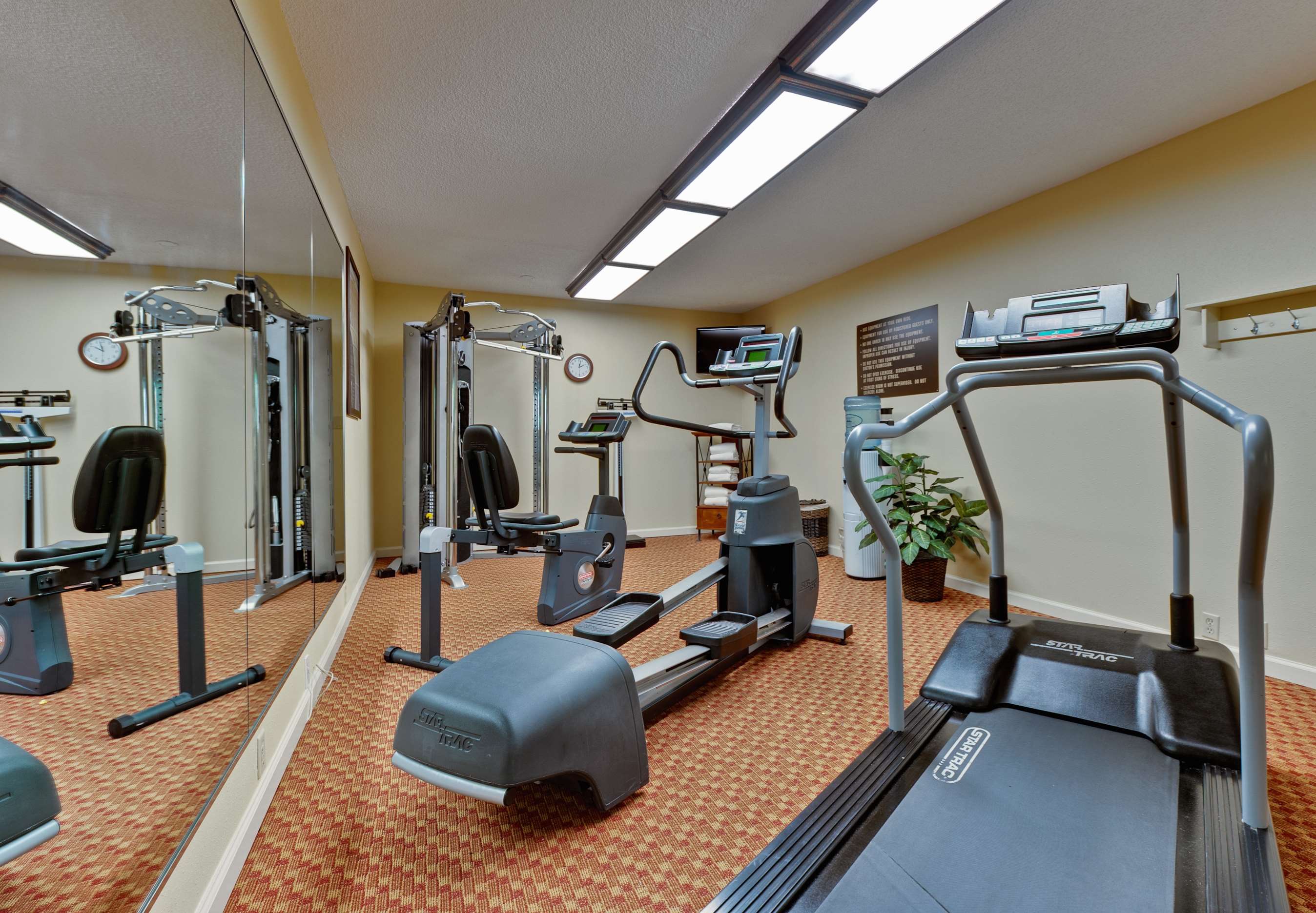 Best Western Hickory