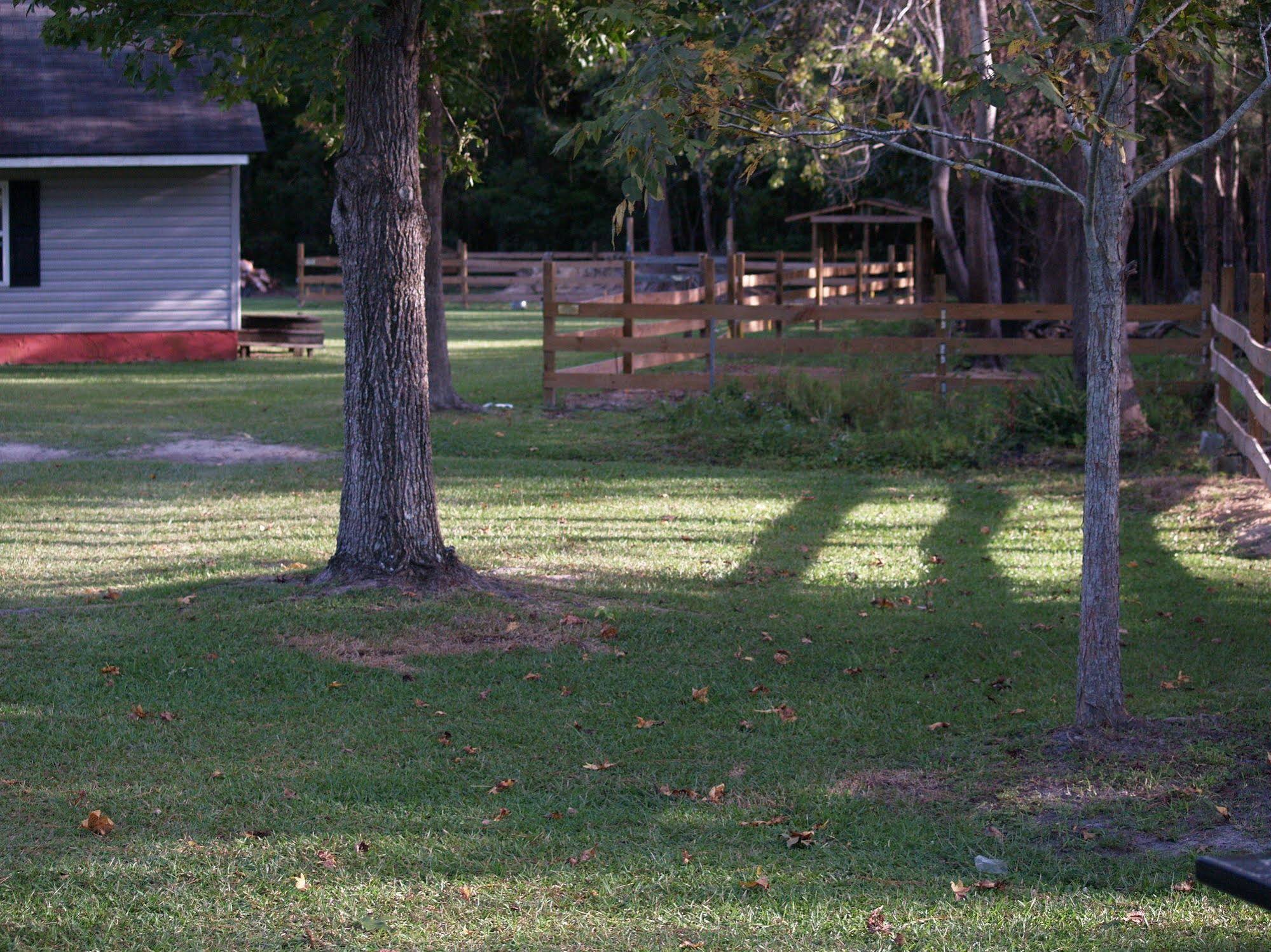 The White House on Freedom Way
