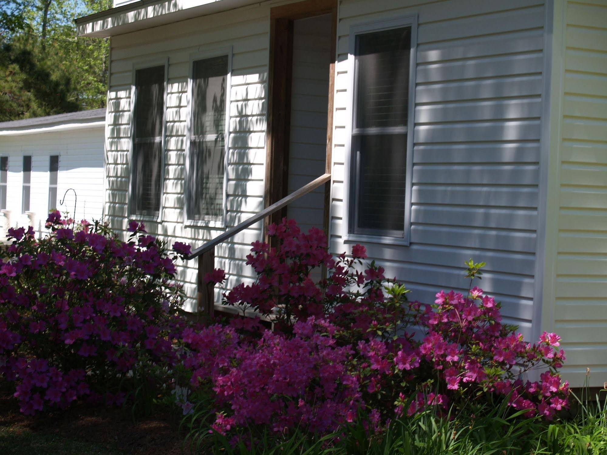 The White House on Freedom Way