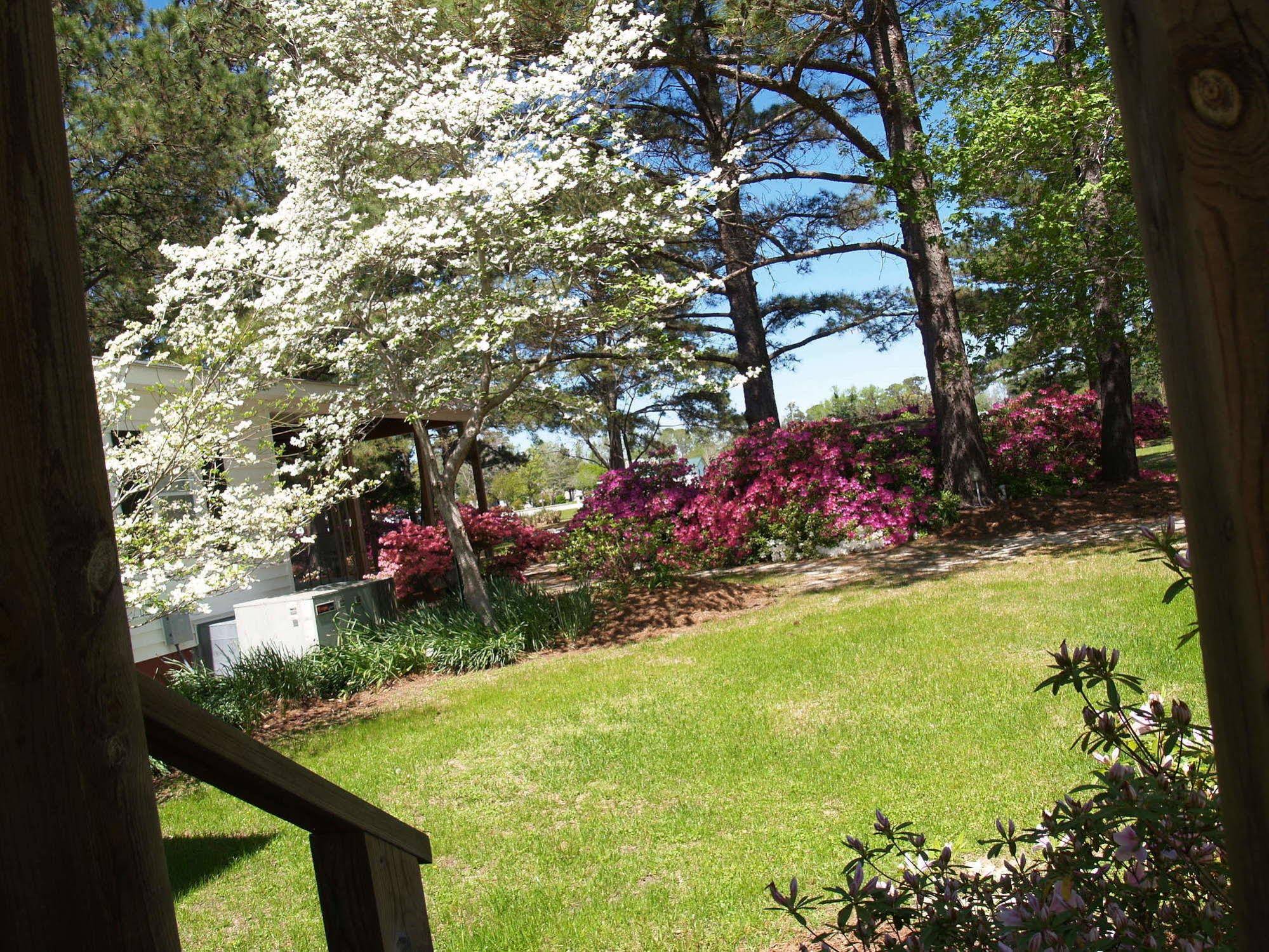 The White House on Freedom Way