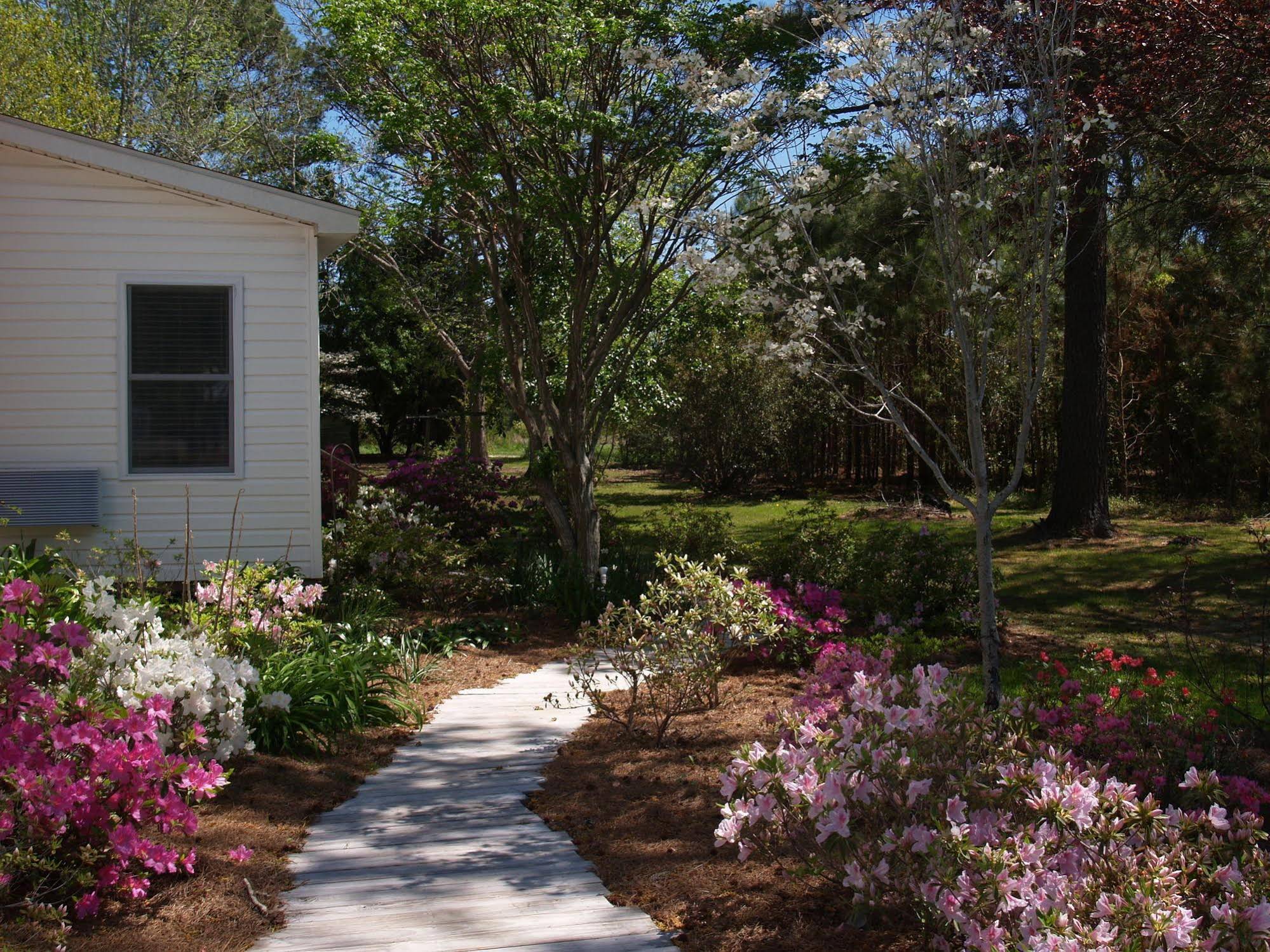 The White House on Freedom Way
