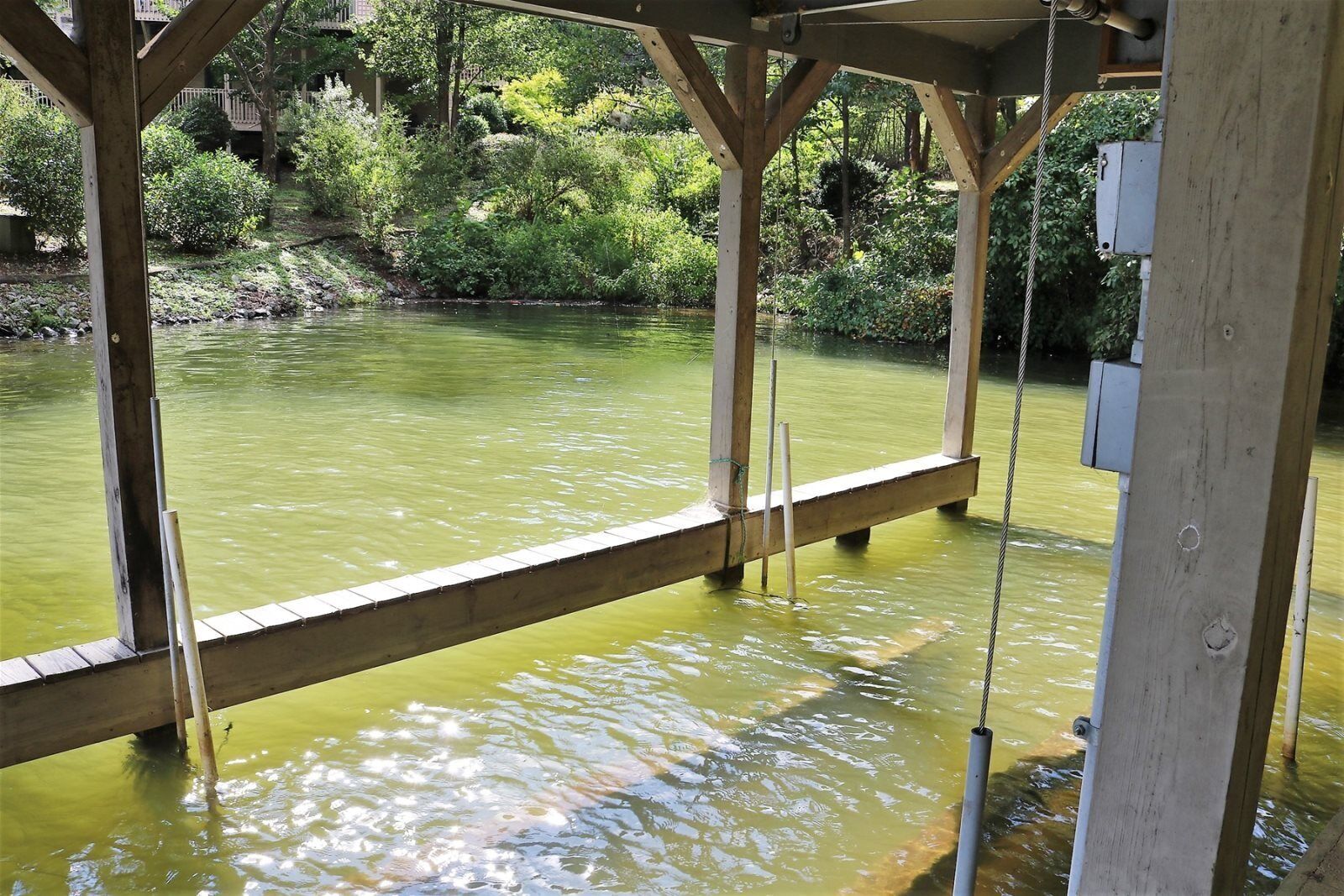 Mountain Laurel Lodge