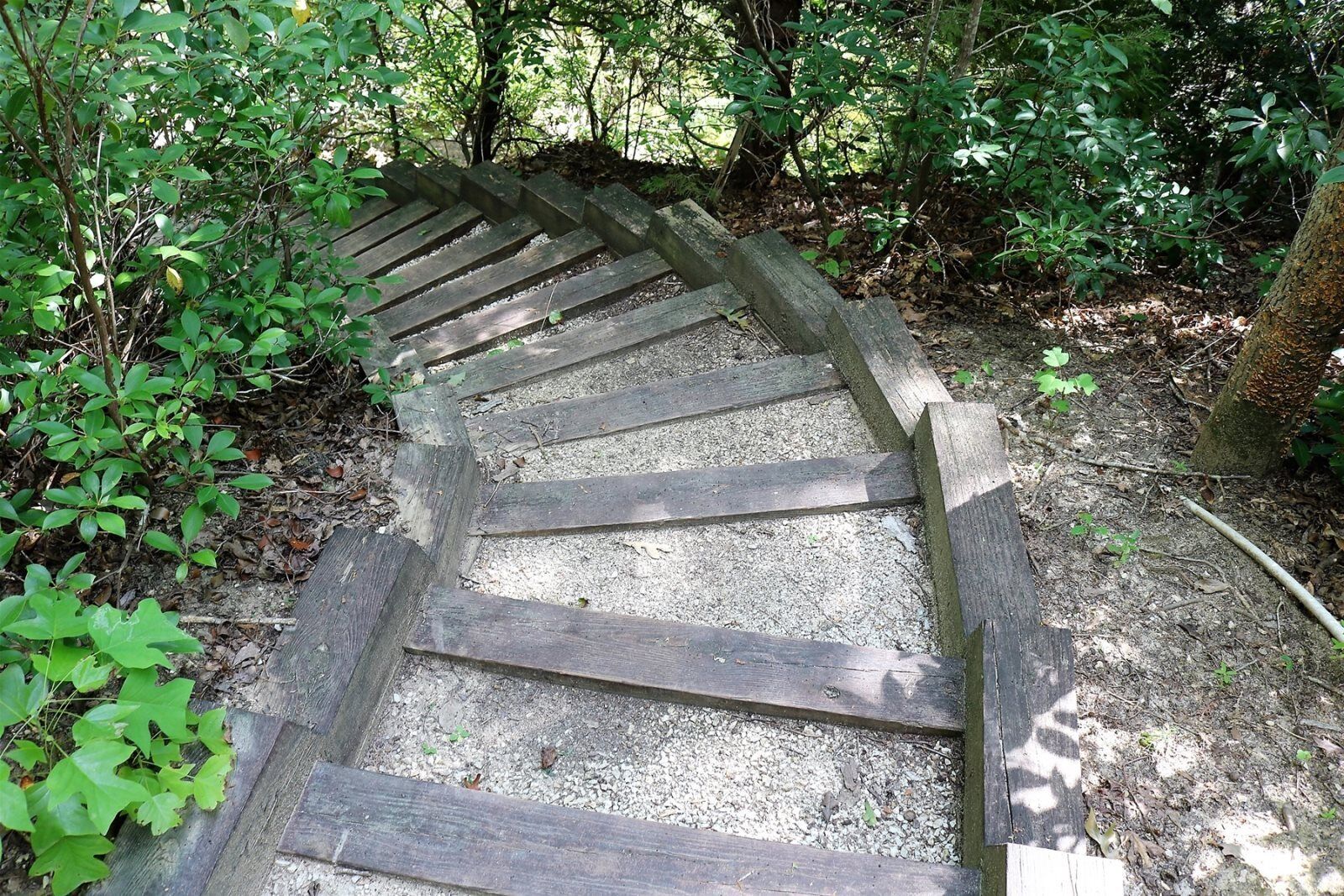 Mountain Laurel Lodge