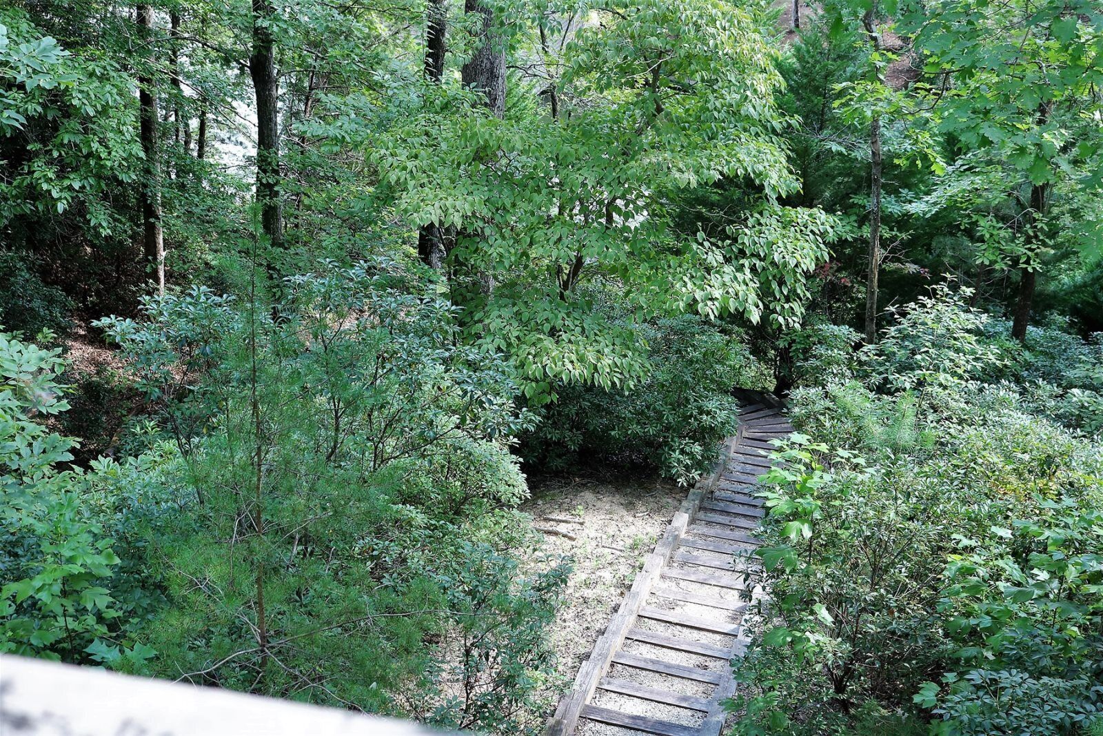 Mountain Laurel Lodge