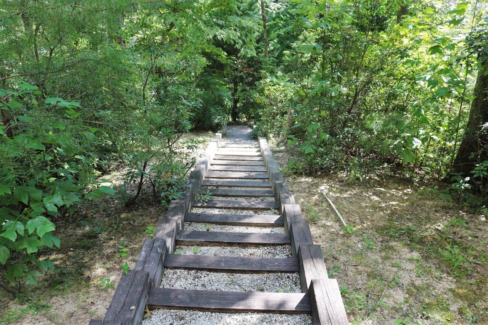 Mountain Laurel Lodge