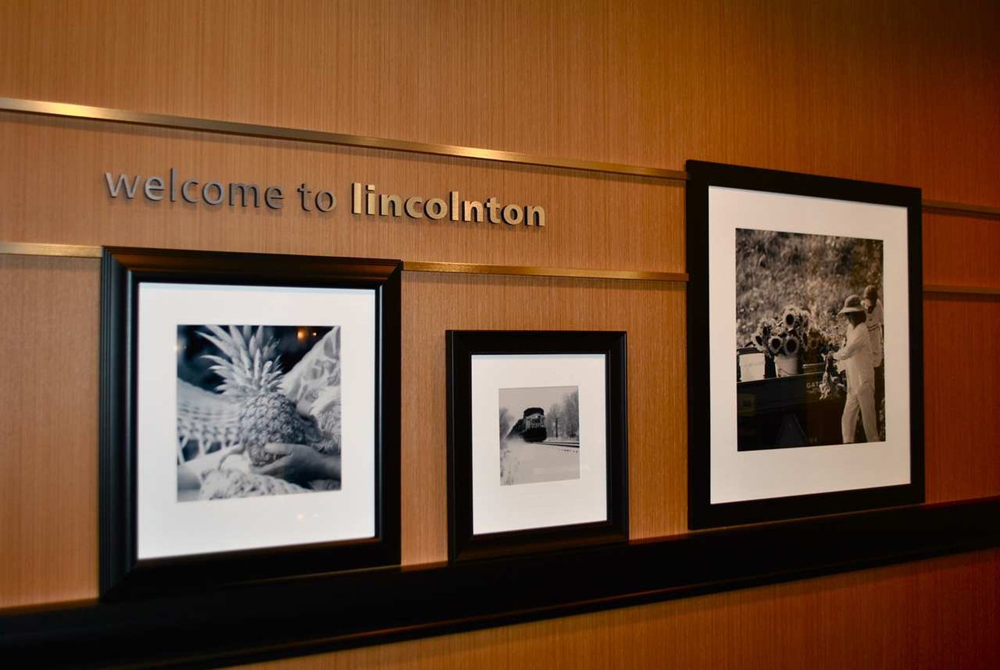 Hampton Inn Lincolnton