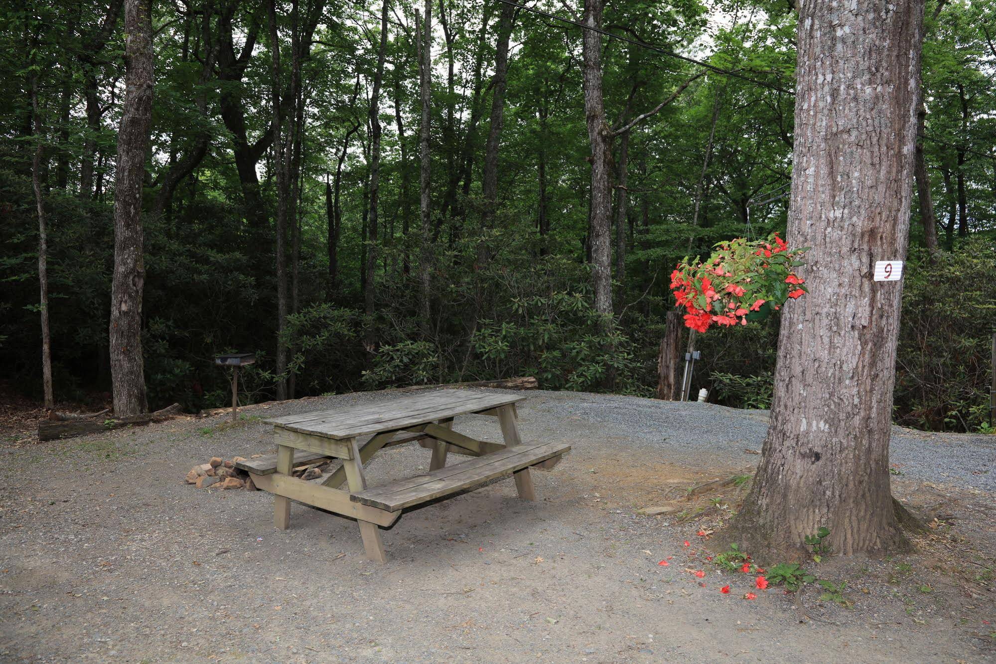 Linville Falls Campground & Cabins - A Cruise Inn Park