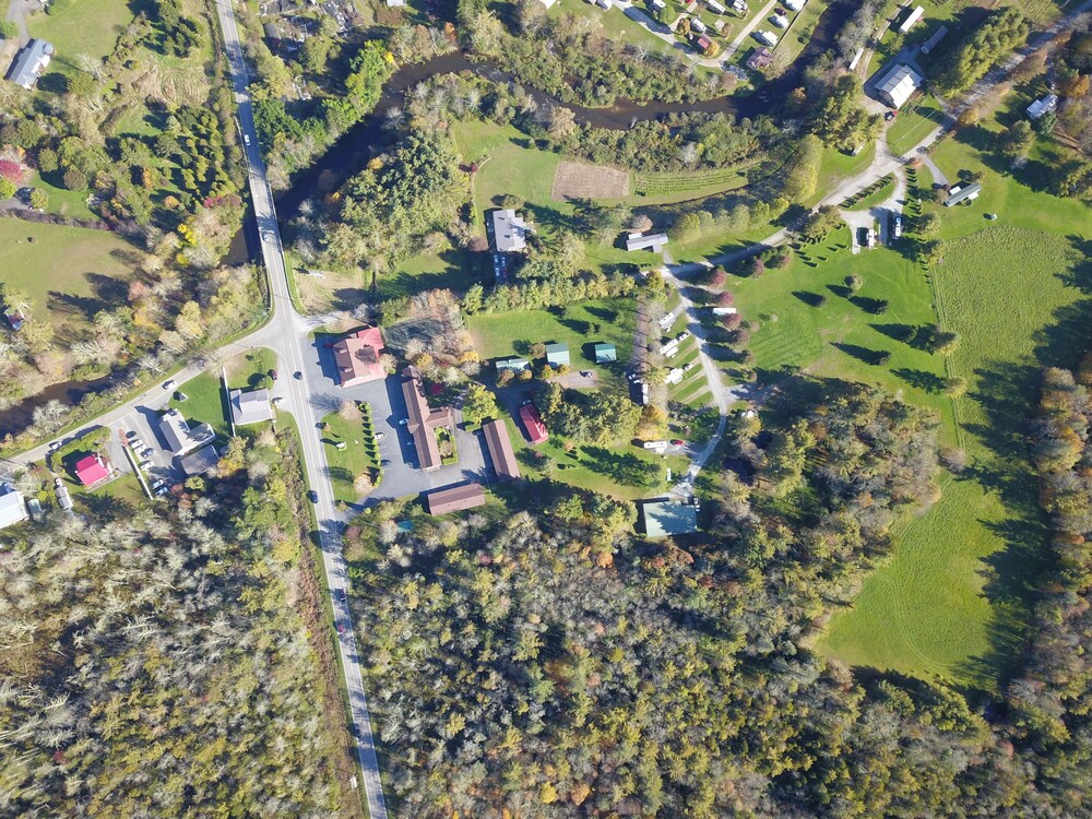The Pineola