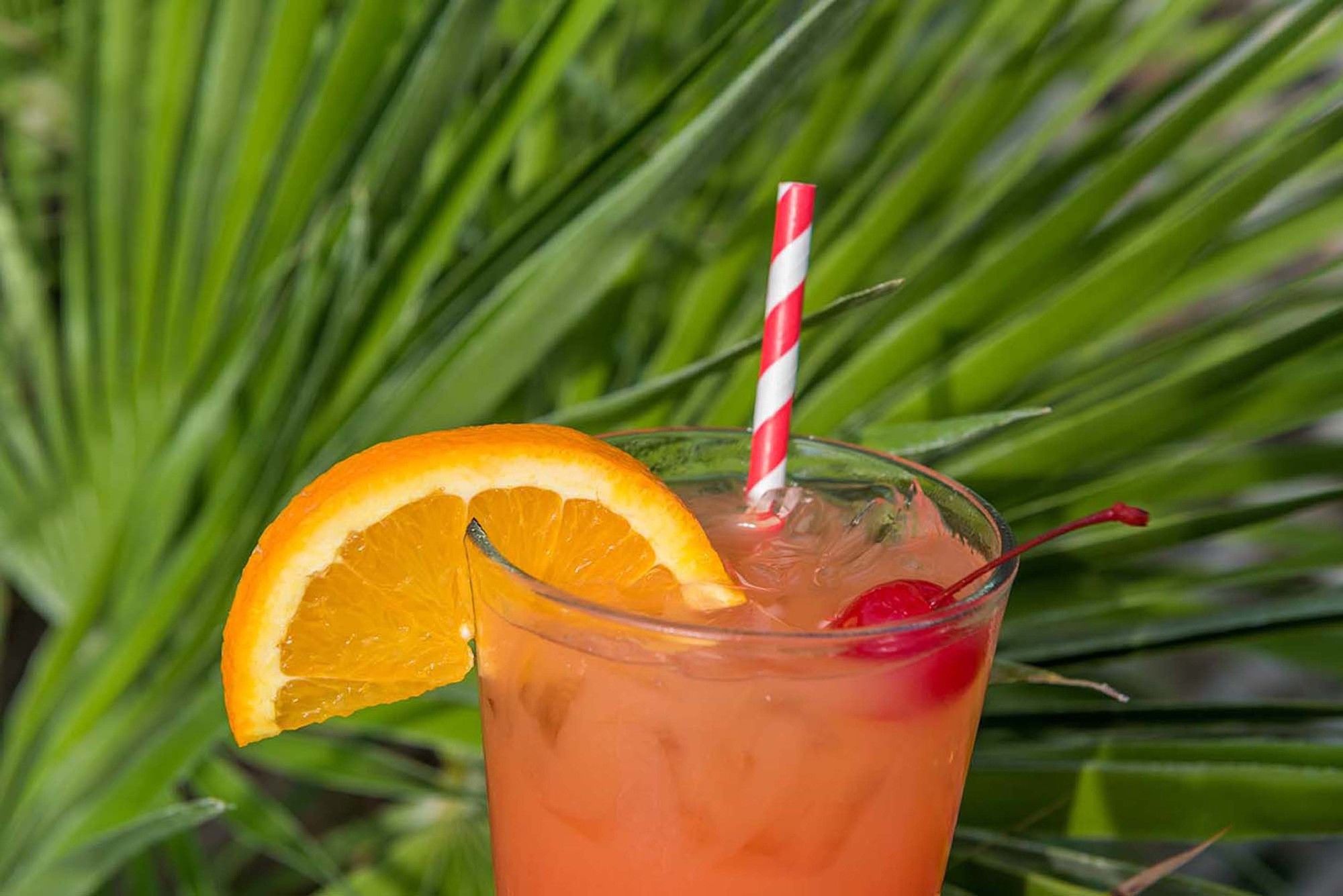 Winds Resort Beach Club