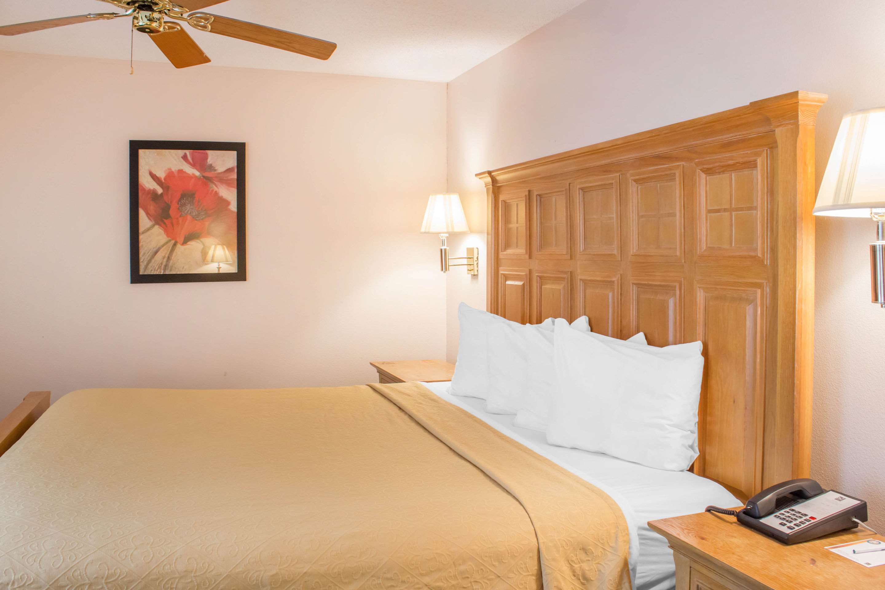Econo Lodge Raleigh Near Walnut Creek Amphitheatre