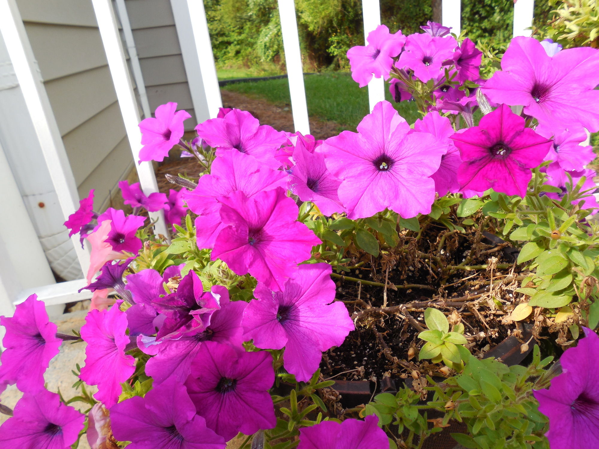 Affordable Suites Salisbury, NC