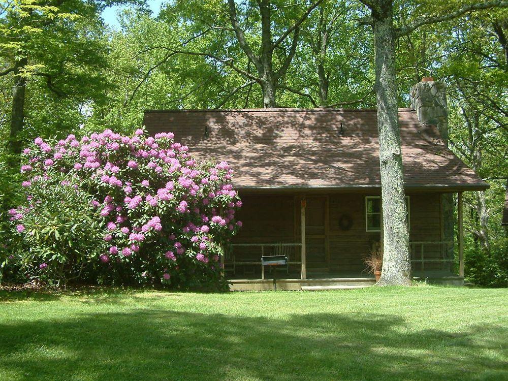 Fire Mountain Inn Cabins & Treehouses