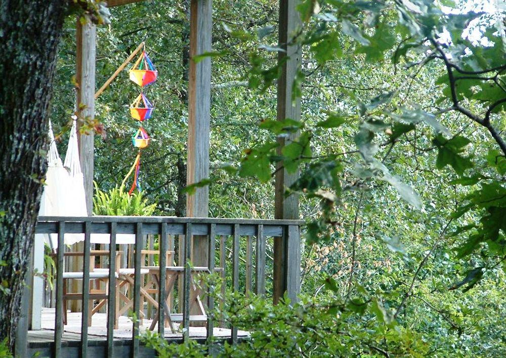 Fire Mountain Inn Cabins & Treehouses