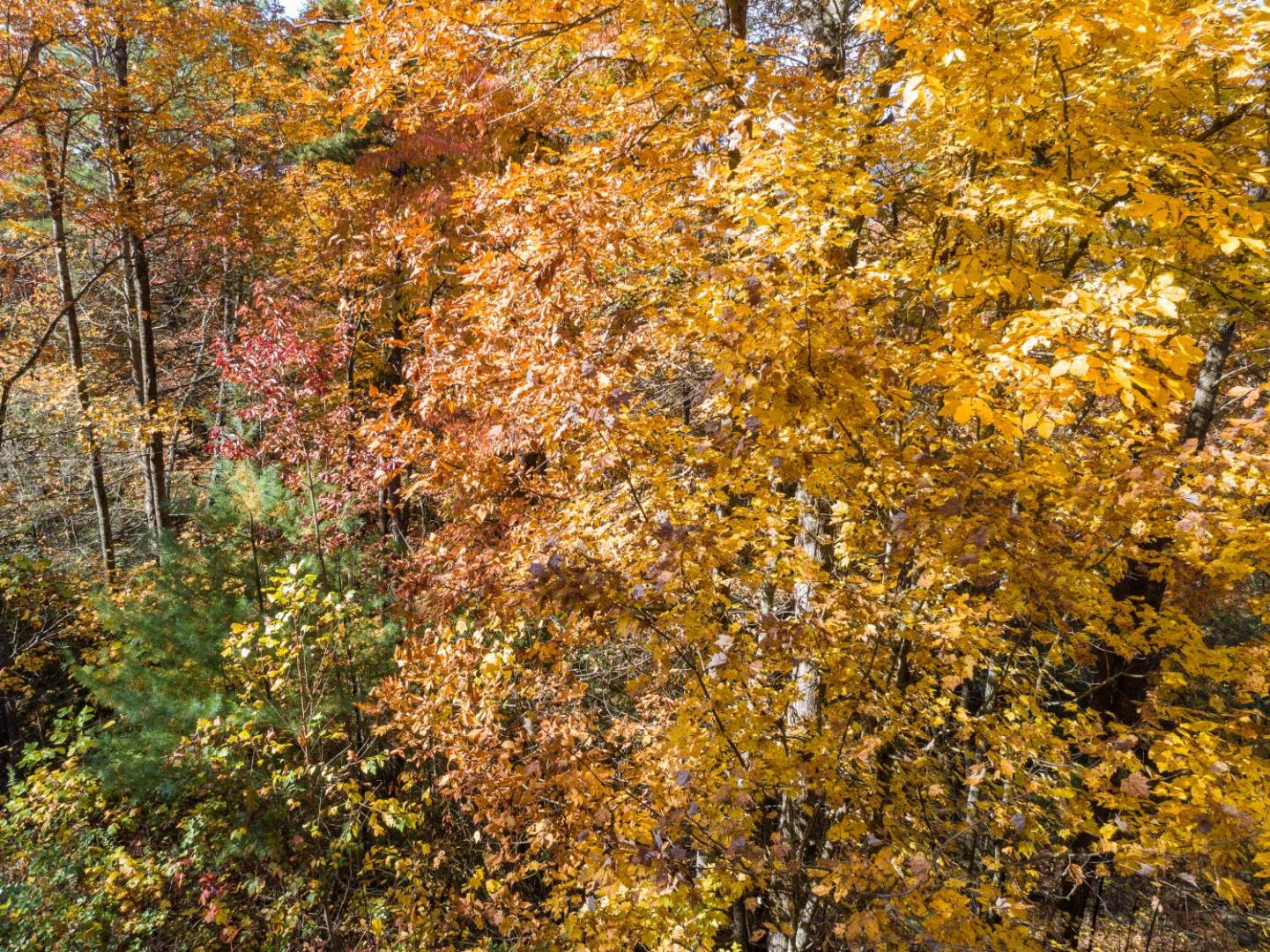 Smokies Overlook Lodge