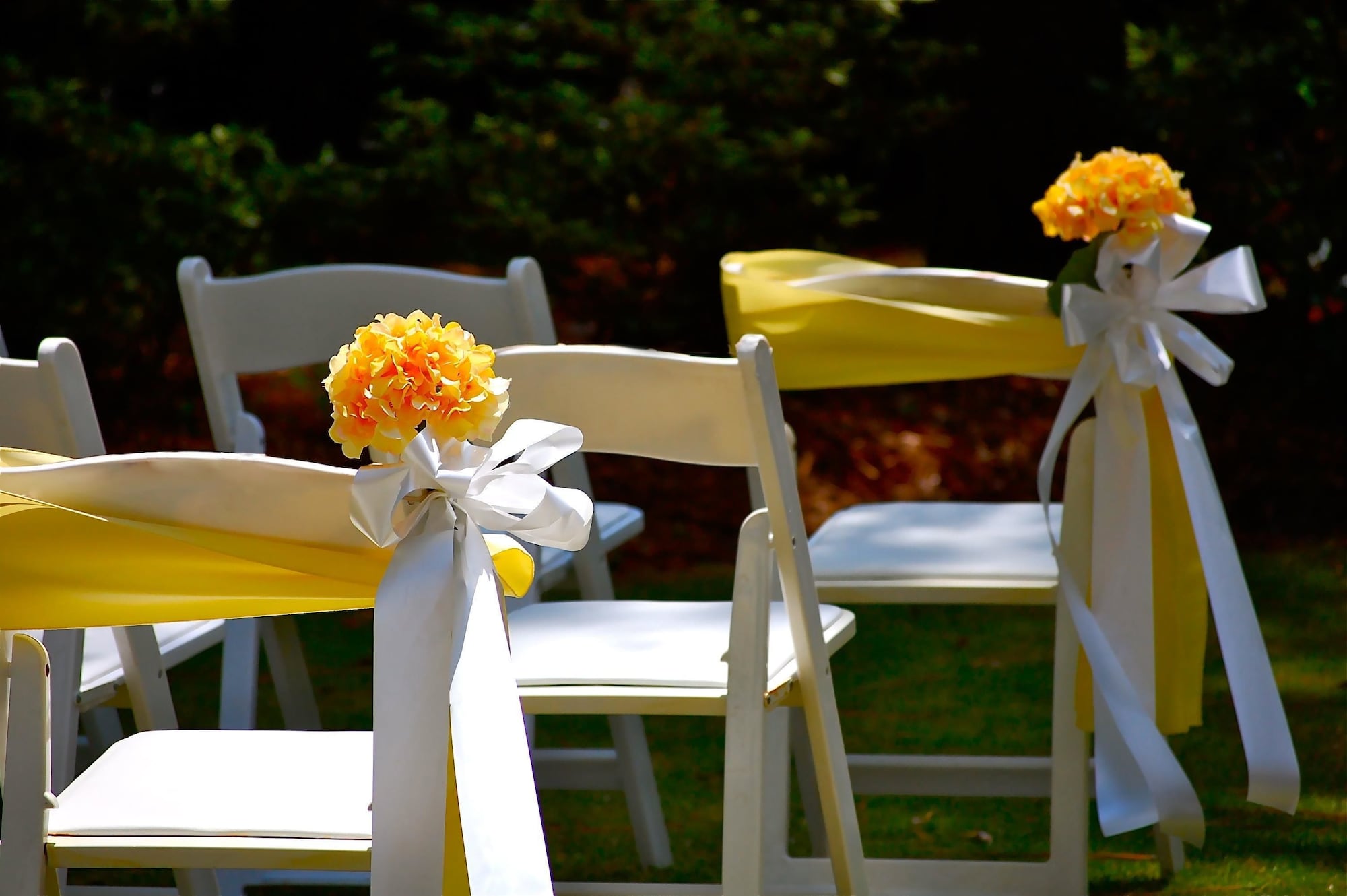 Hampton Inn Wilmington-Medical Park