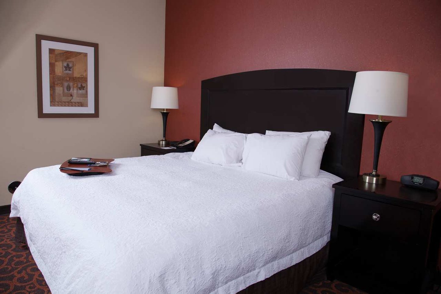 Hampton Inn & Suites Dickinson