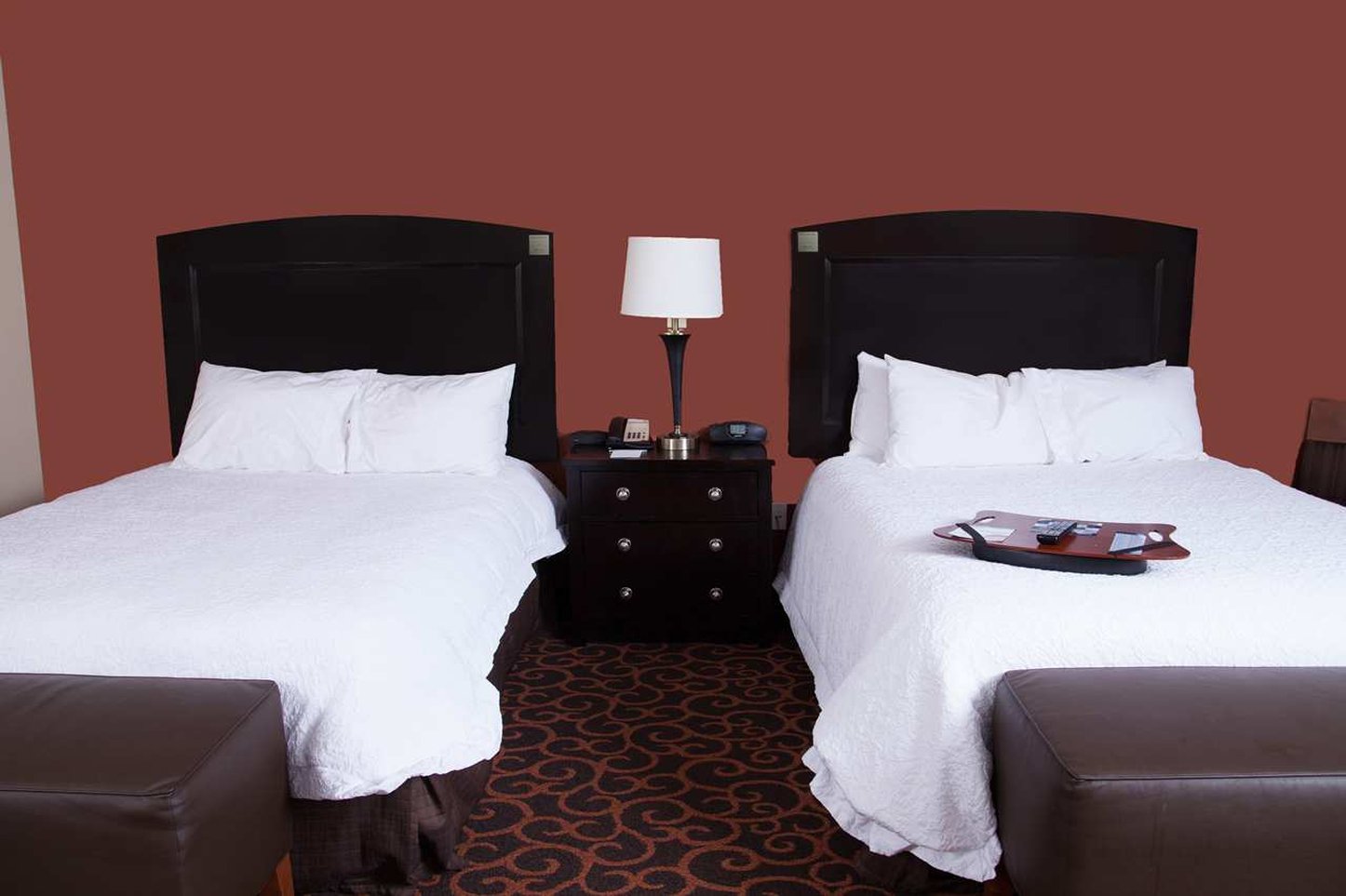 Hampton Inn & Suites Dickinson