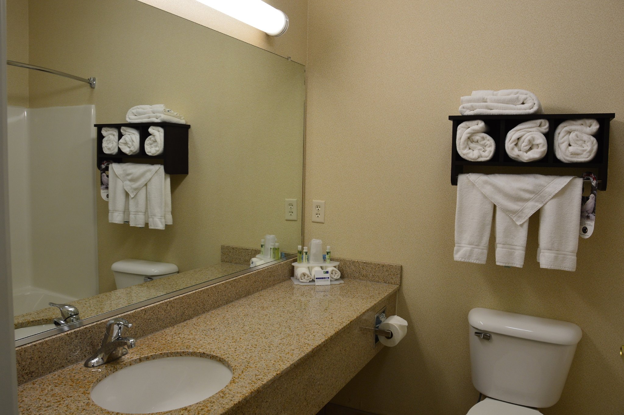 Holiday Inn Express & Suites Dickinson