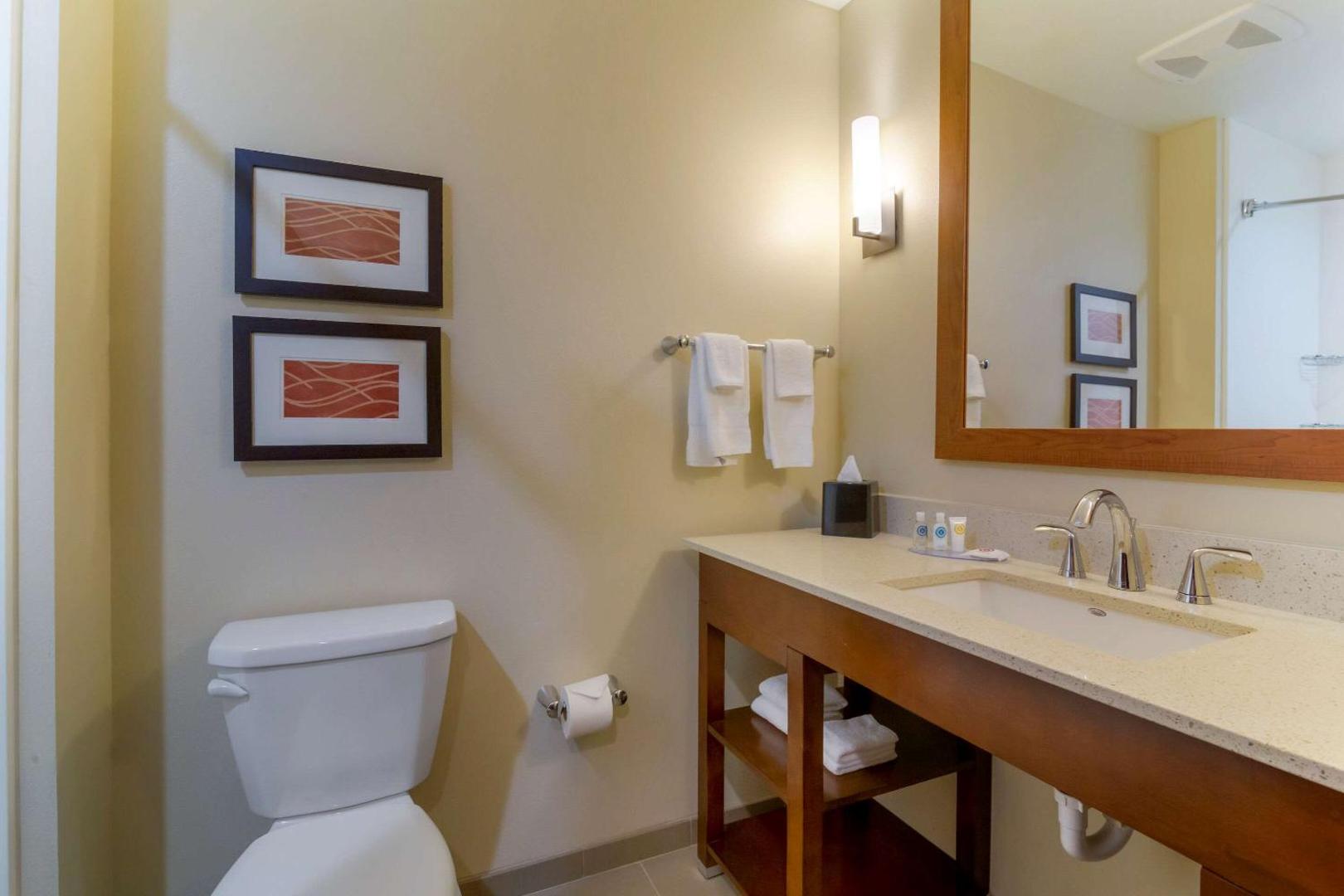 Comfort Inn & Suites Mandan - Bismarck