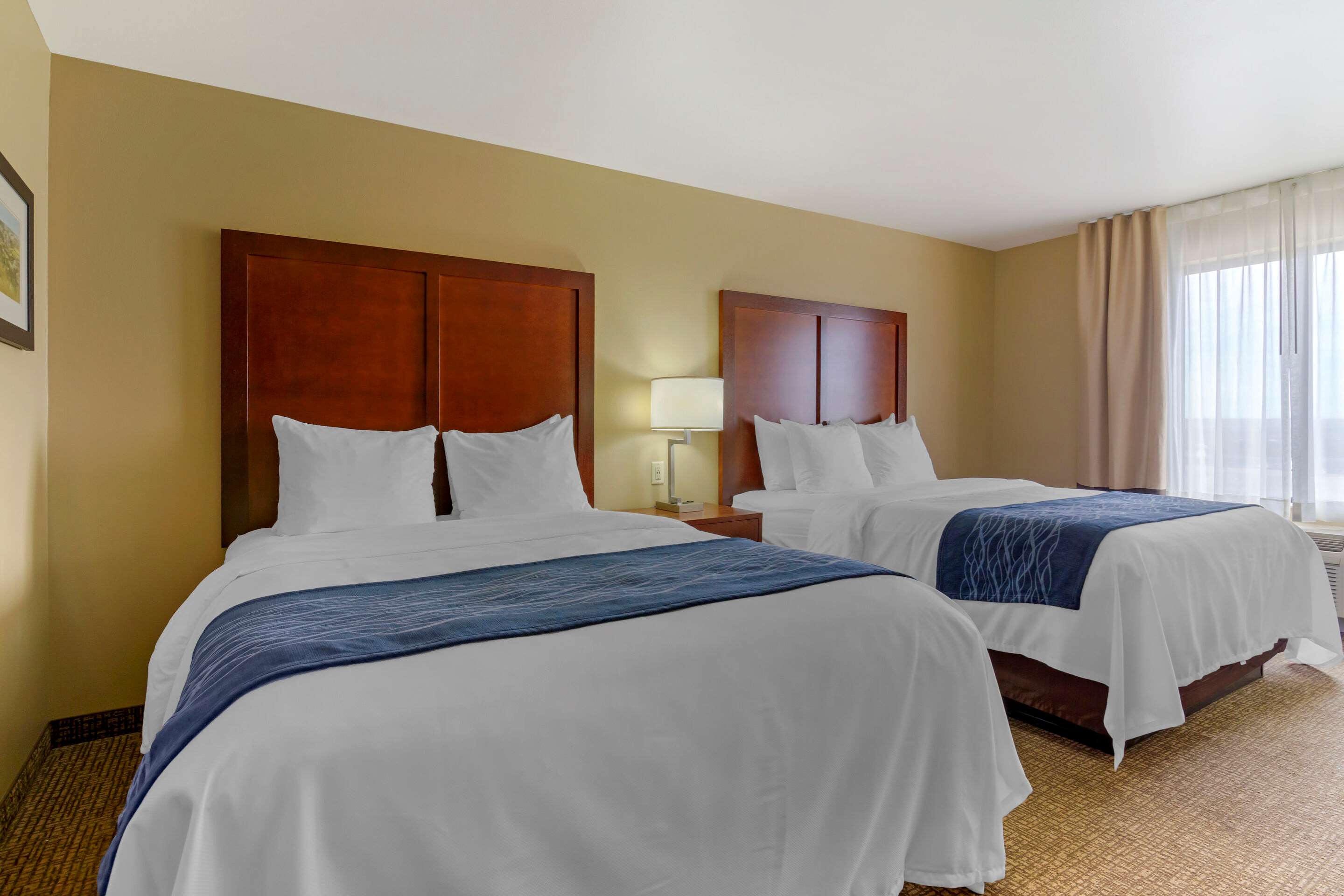 Comfort Inn & Suites Mandan - Bismarck