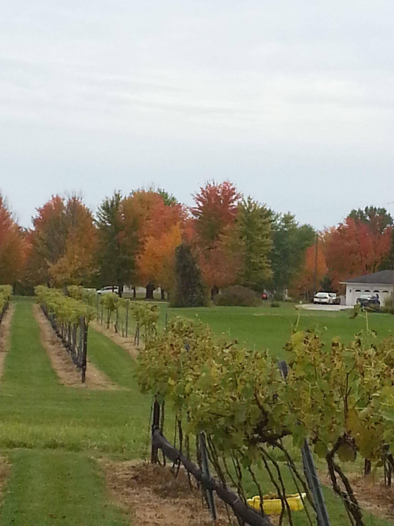 Bella Fattoria Bed and Breakfast