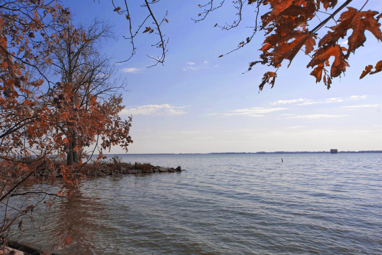 Americas Best Value Inn-celina