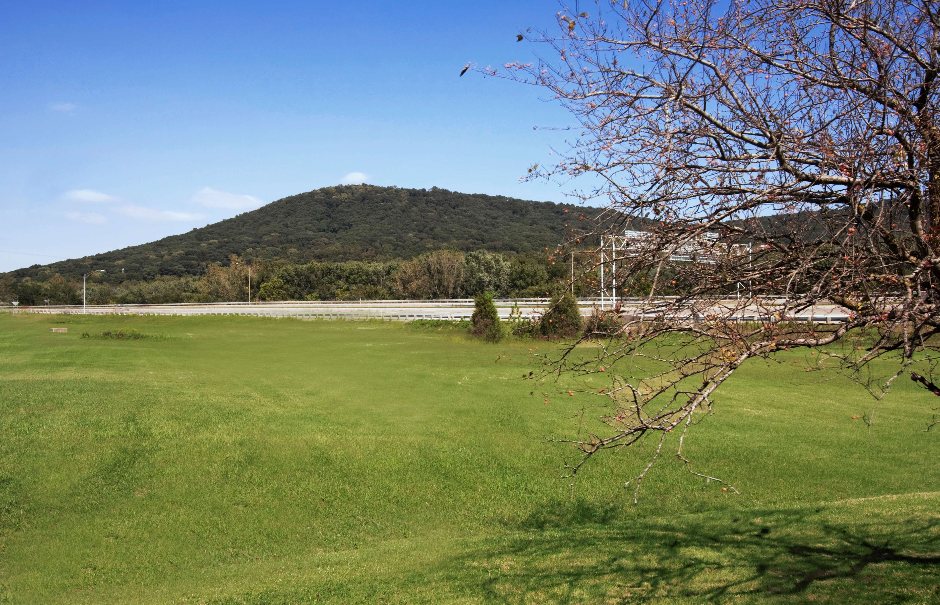 Americas Best Value Inn