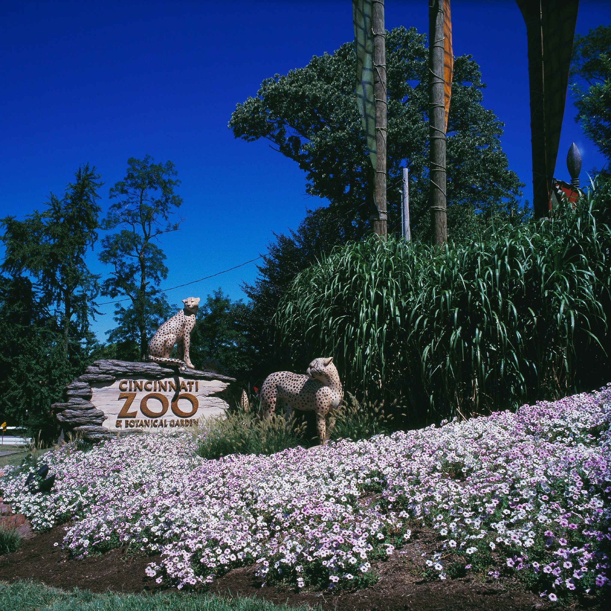Quality Hotel Conference Center Cincinnati Blue Ash