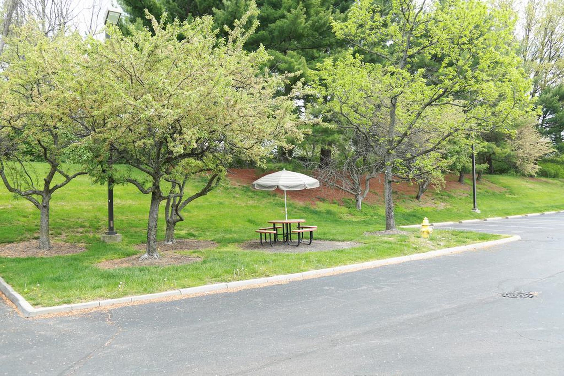 Red Roof Inn Cincinnati Northeast - Blue Ash