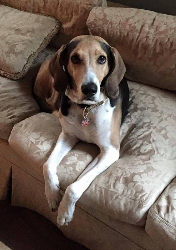 Clifford House Private Home Bed & Breakfast