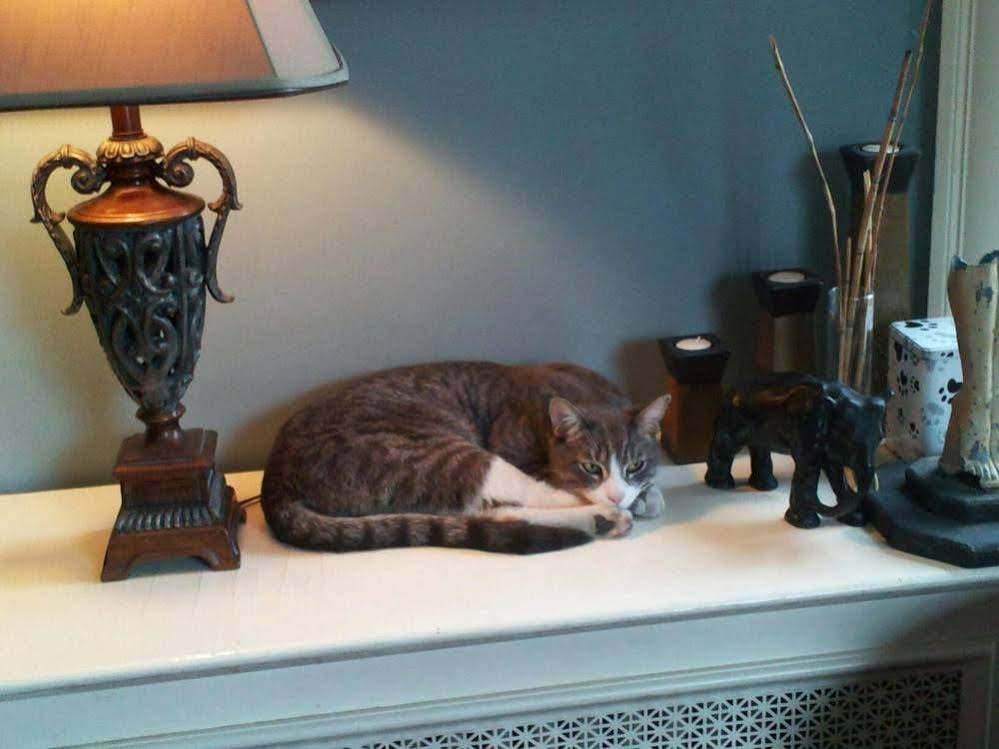 Clifford House Private Home Bed & Breakfast