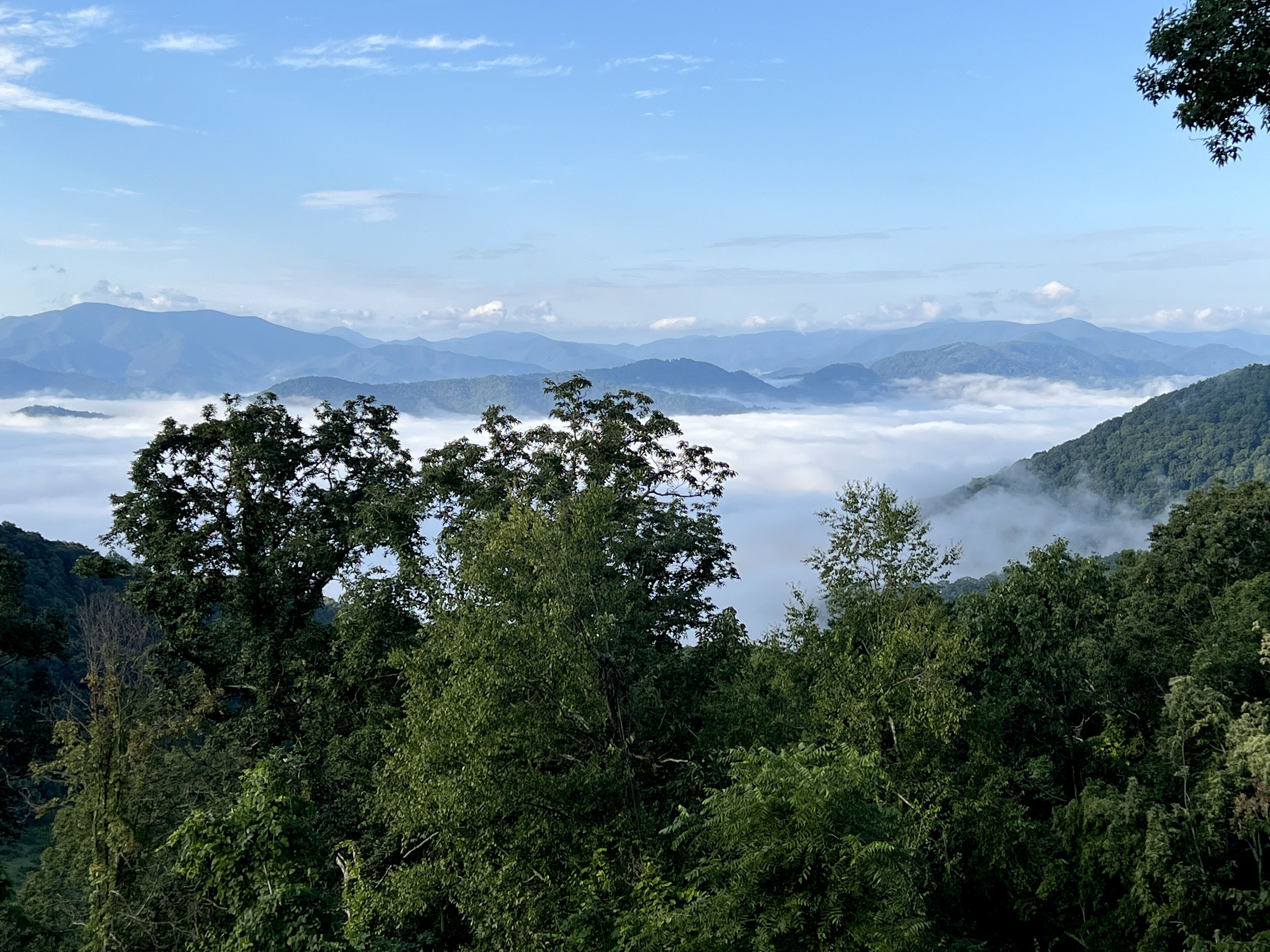 The Glamping Collective