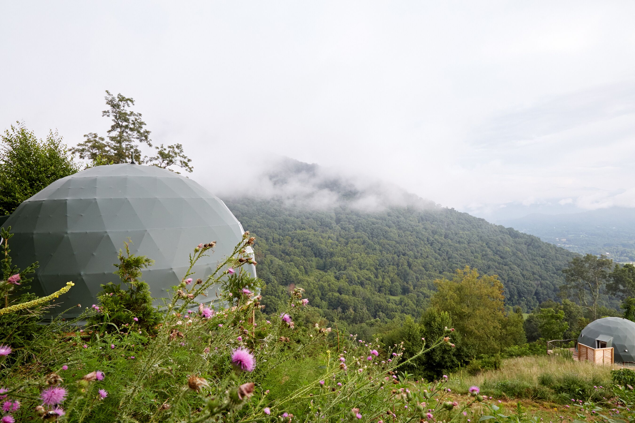 The Glamping Collective