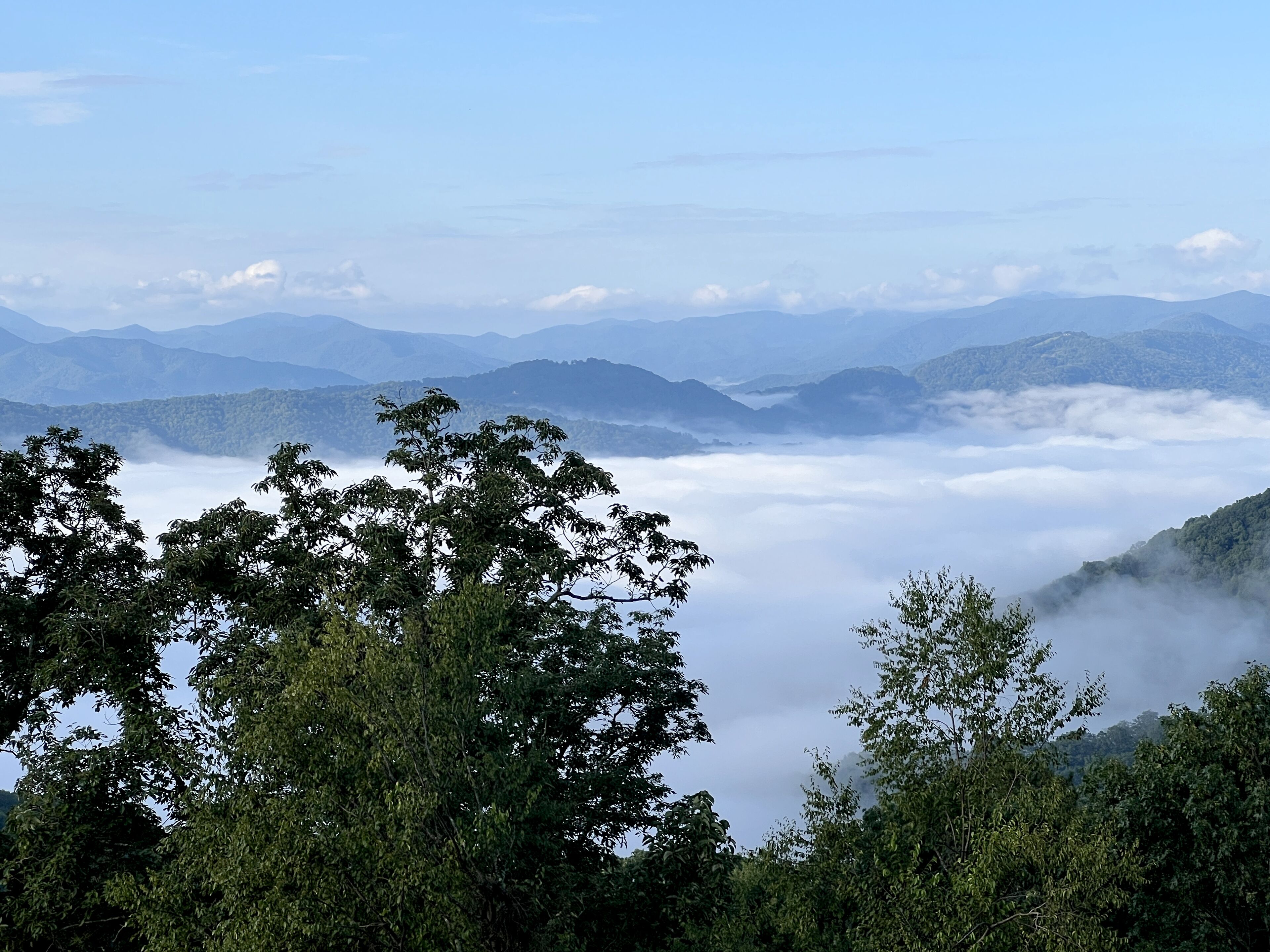 The Glamping Collective