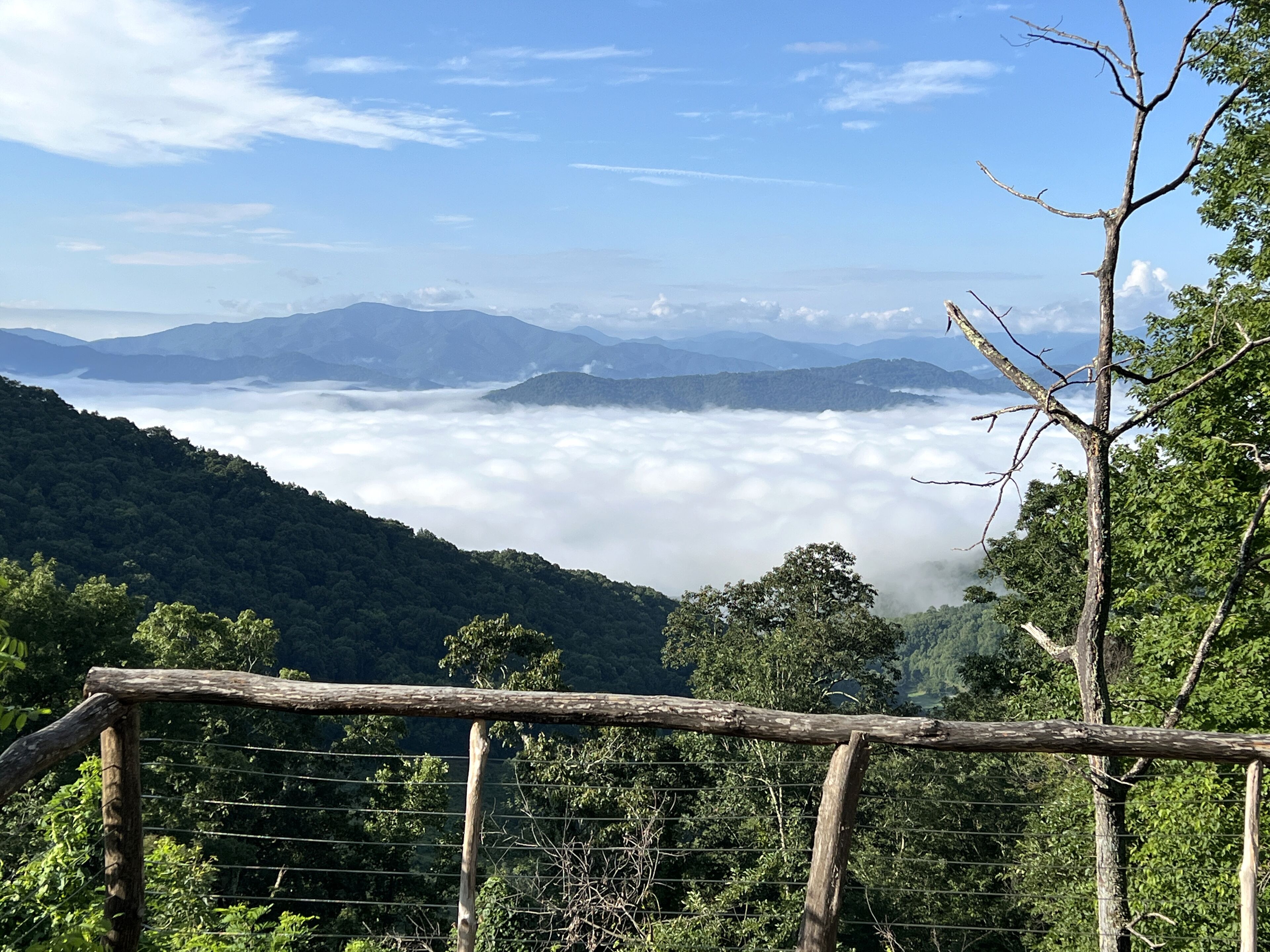 The Glamping Collective