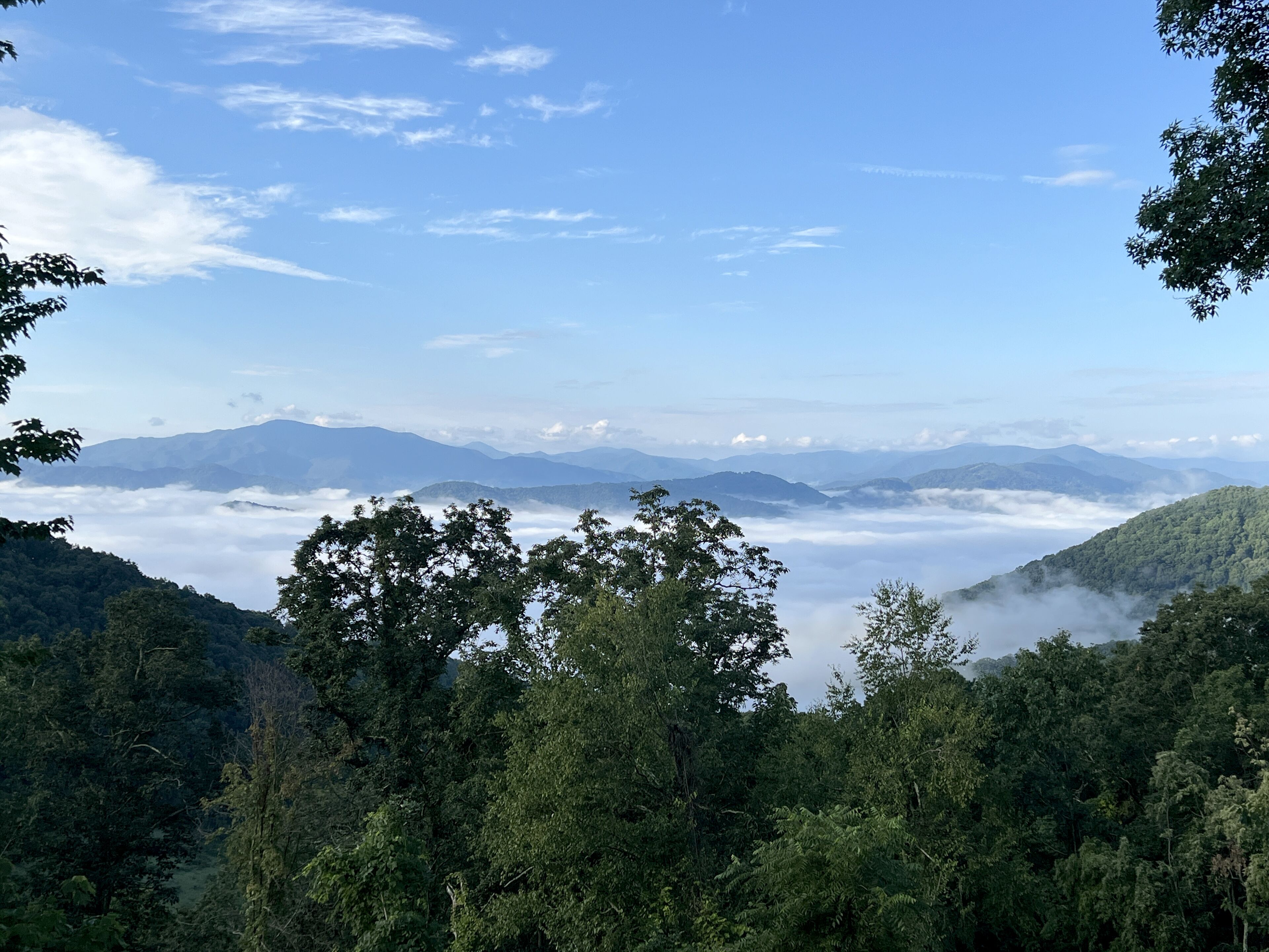 The Glamping Collective