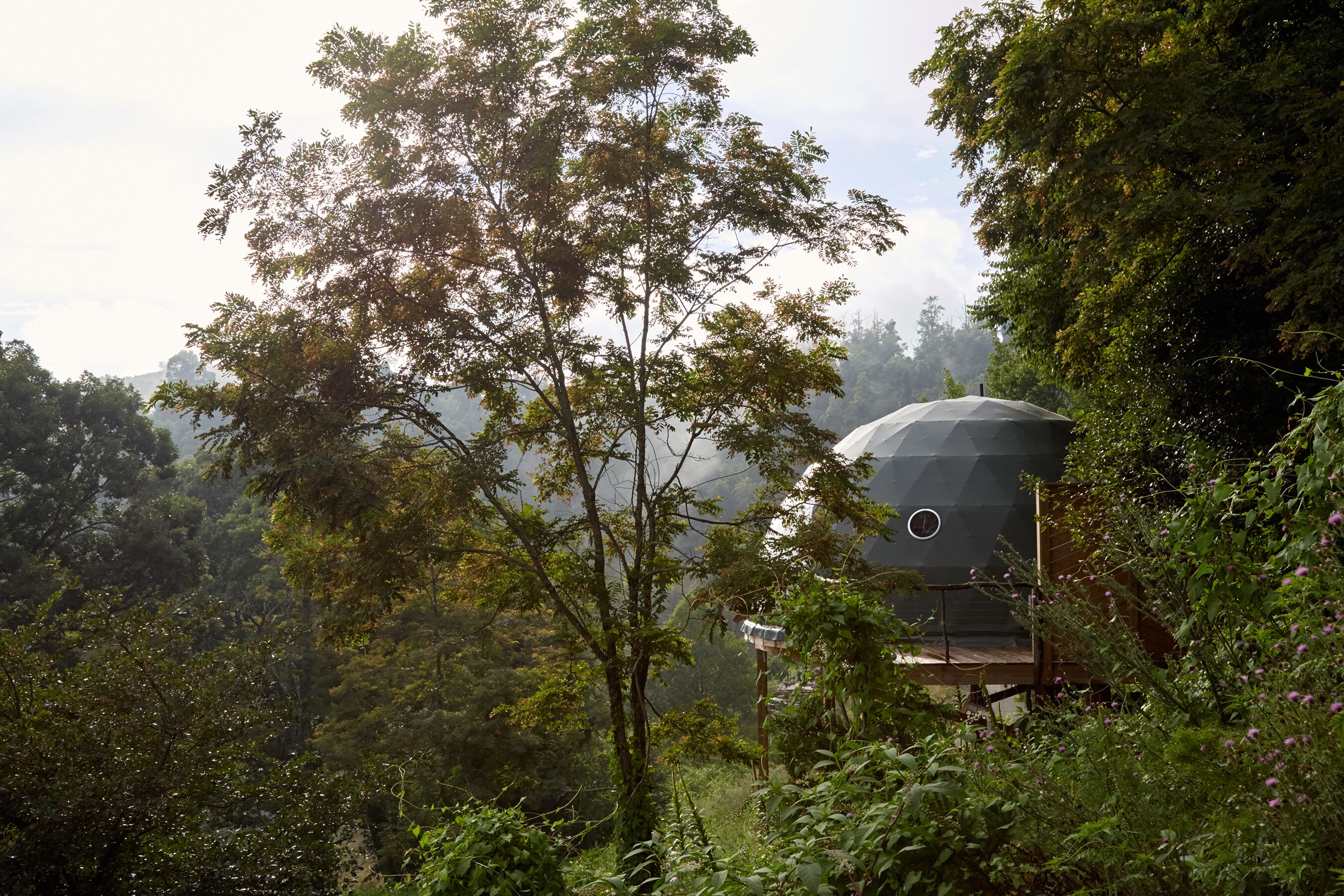 The Glamping Collective