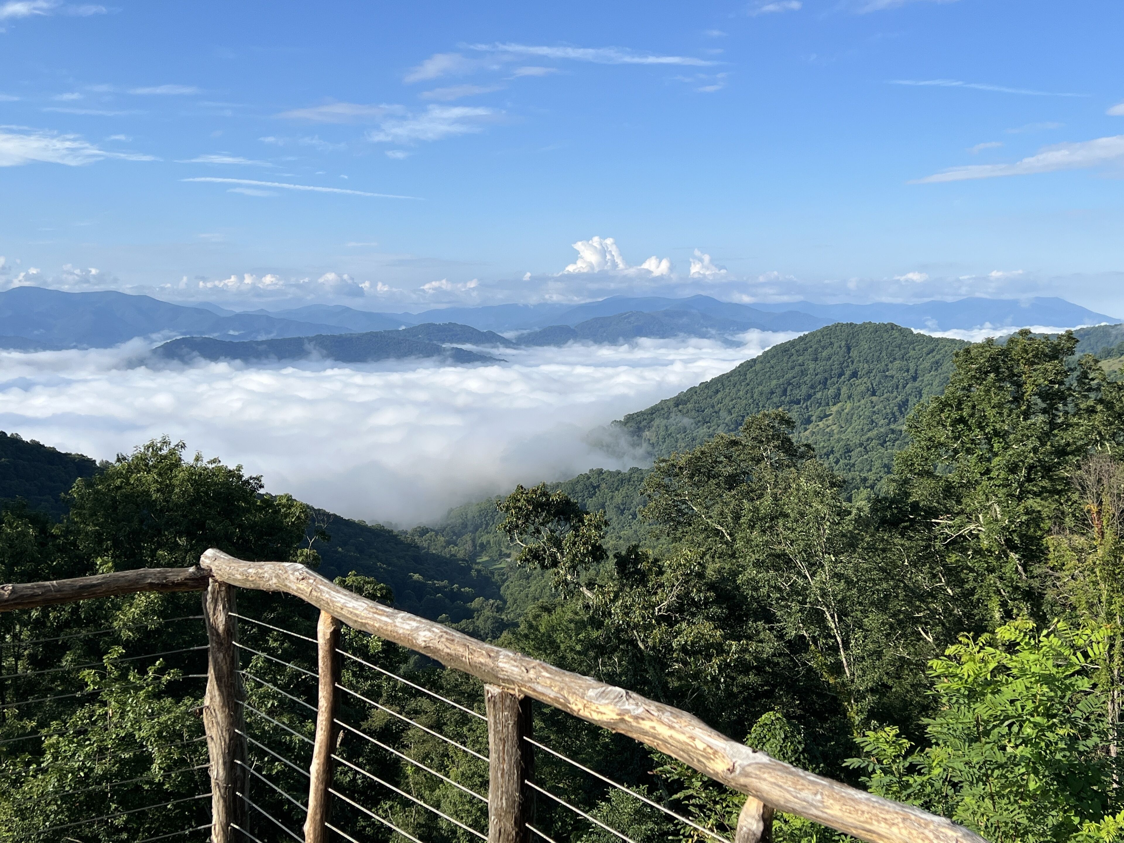 The Glamping Collective