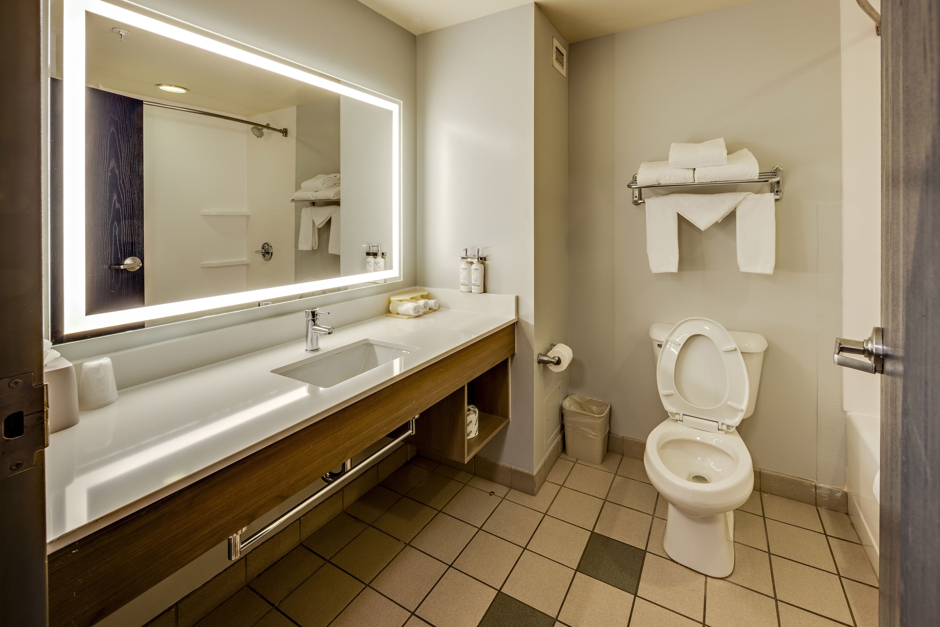 Holiday Inn Express & Suites Columbus OSU-Medical Center