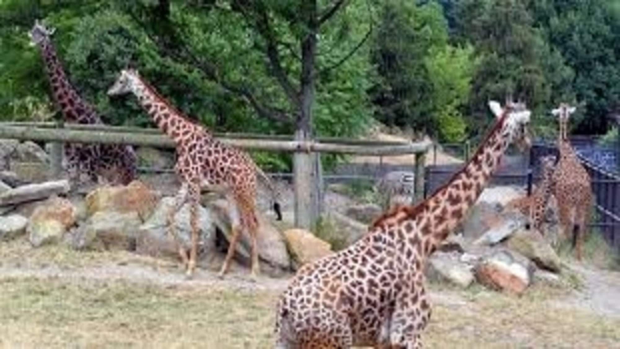 Holiday Inn Cleveland-South Independence