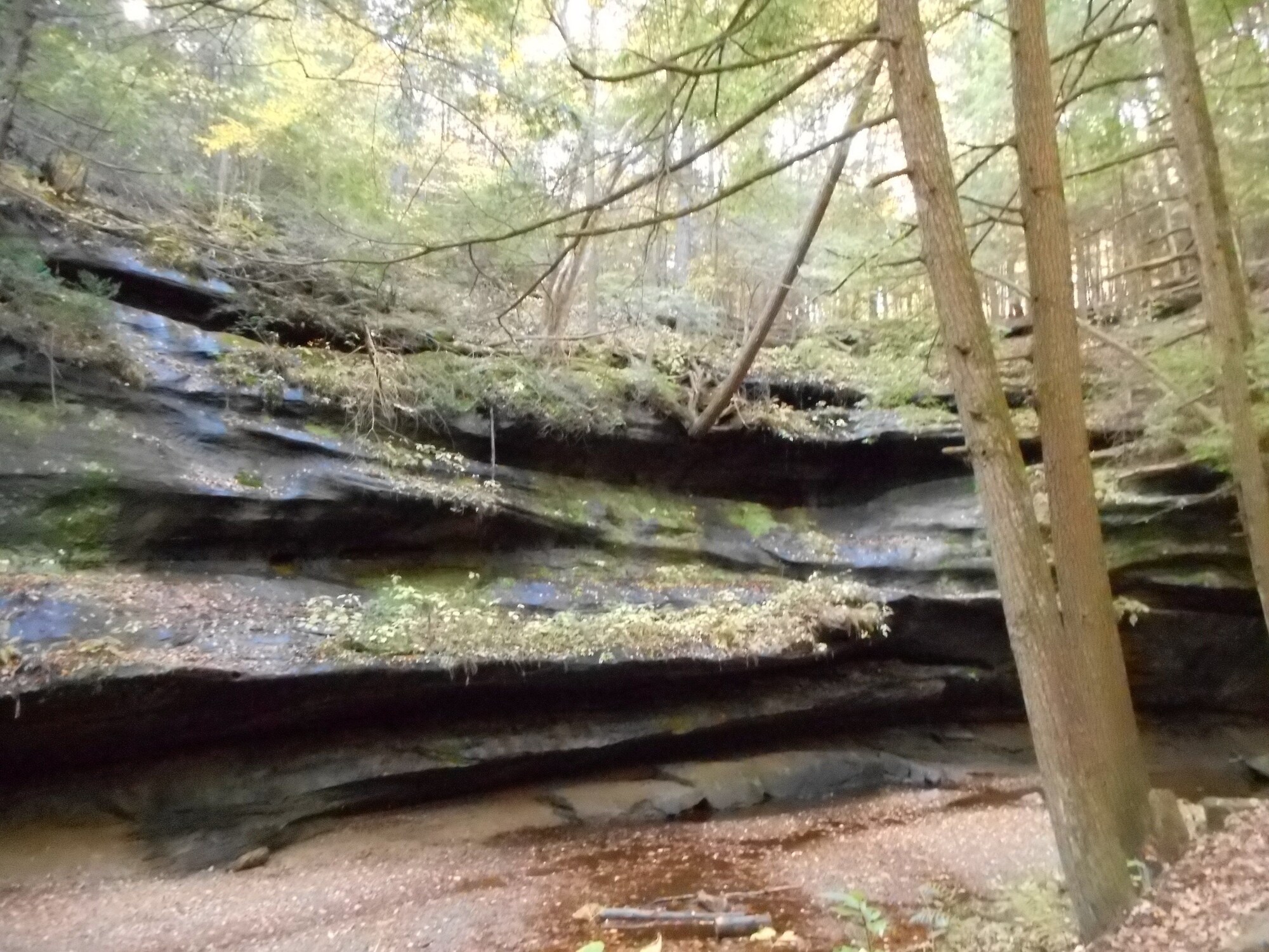 Holiday Inn Express Hocking Hills - Logan