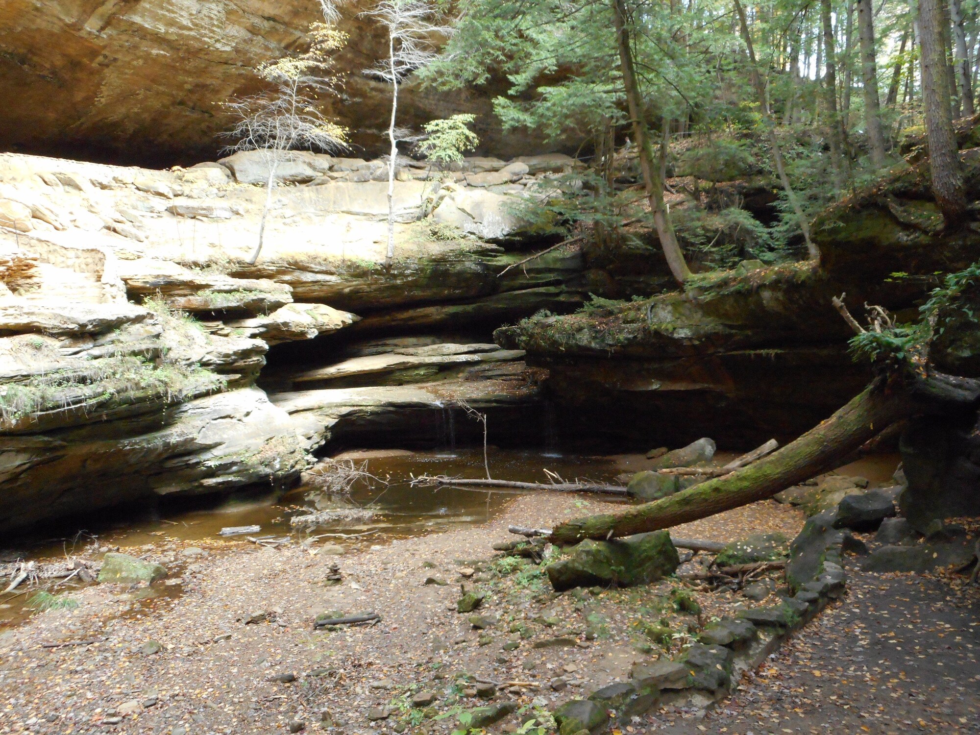 Holiday Inn Express Hocking Hills - Logan