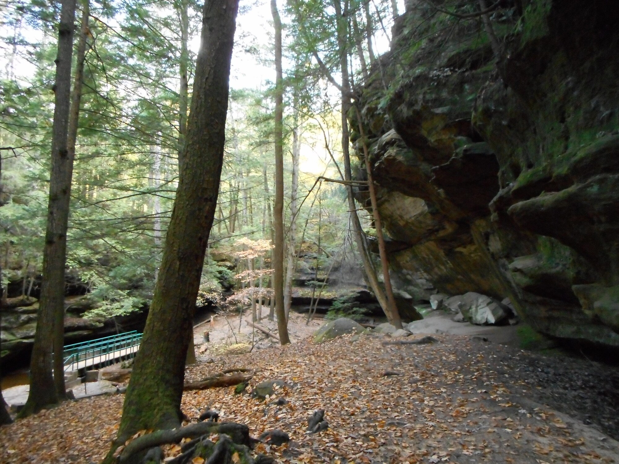 Holiday Inn Express Hocking Hills - Logan