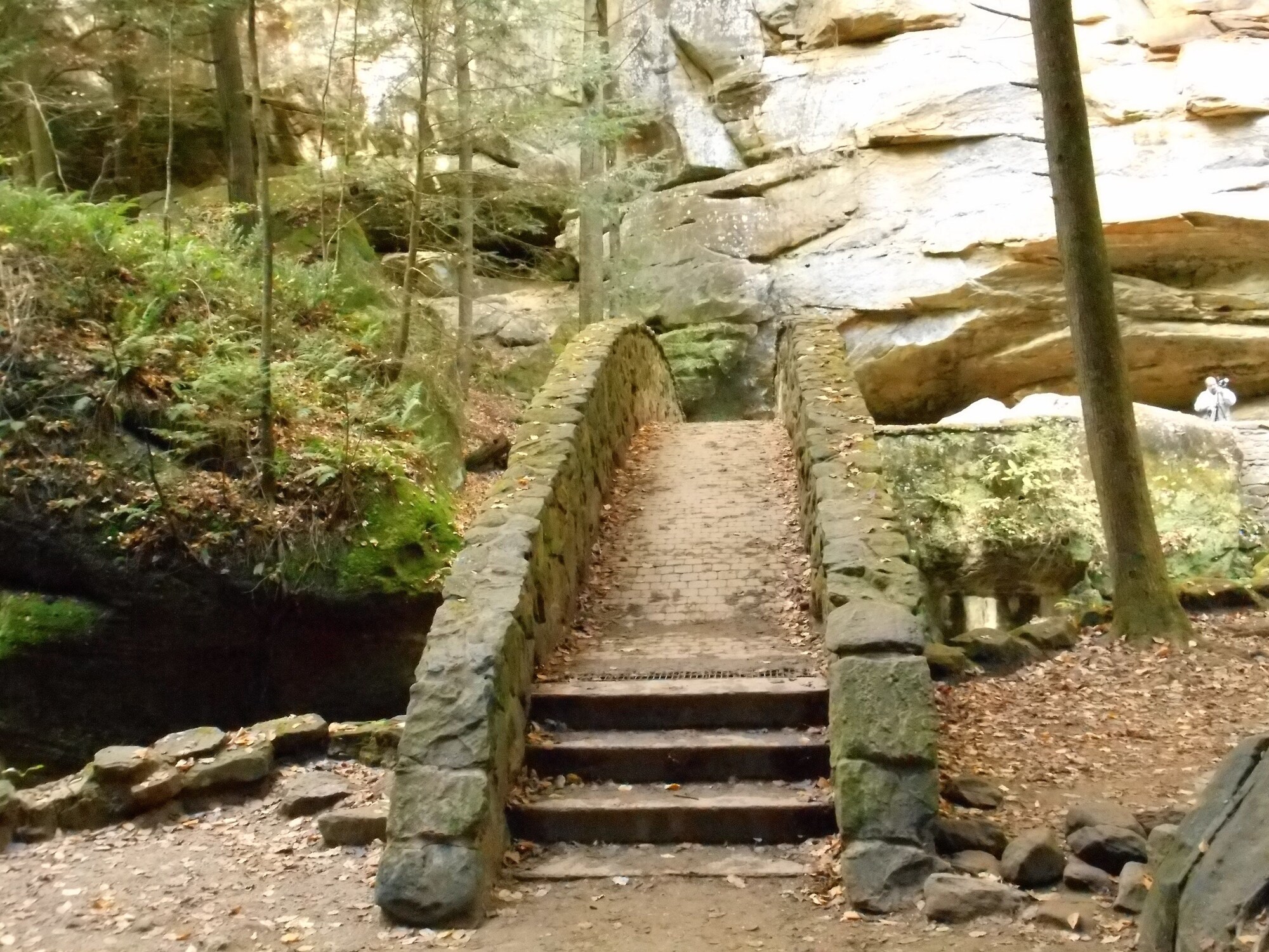 Holiday Inn Express Hocking Hills - Logan